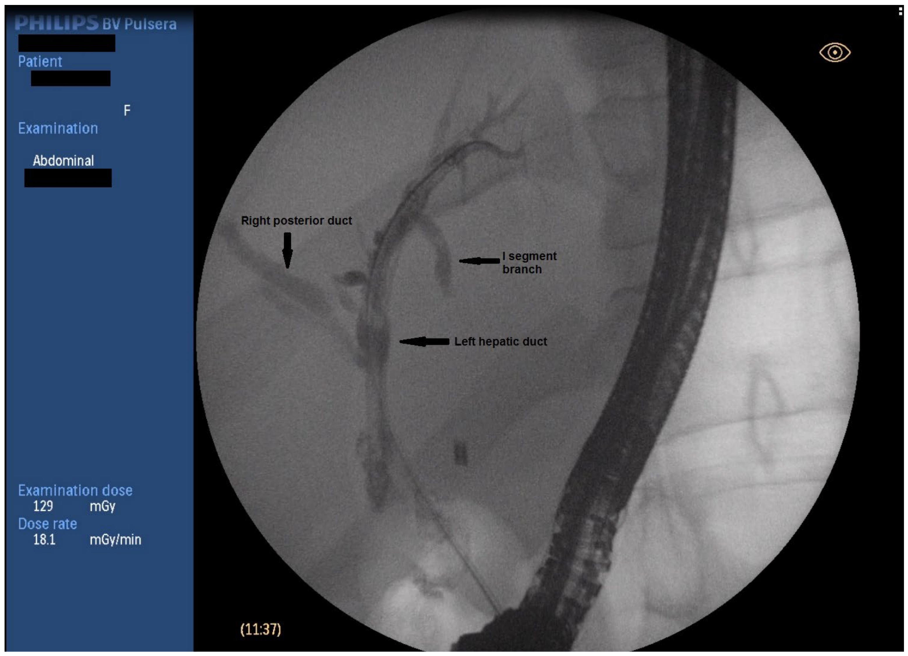 Medicina 59 01621 g002 Medicina 59 01621 g002