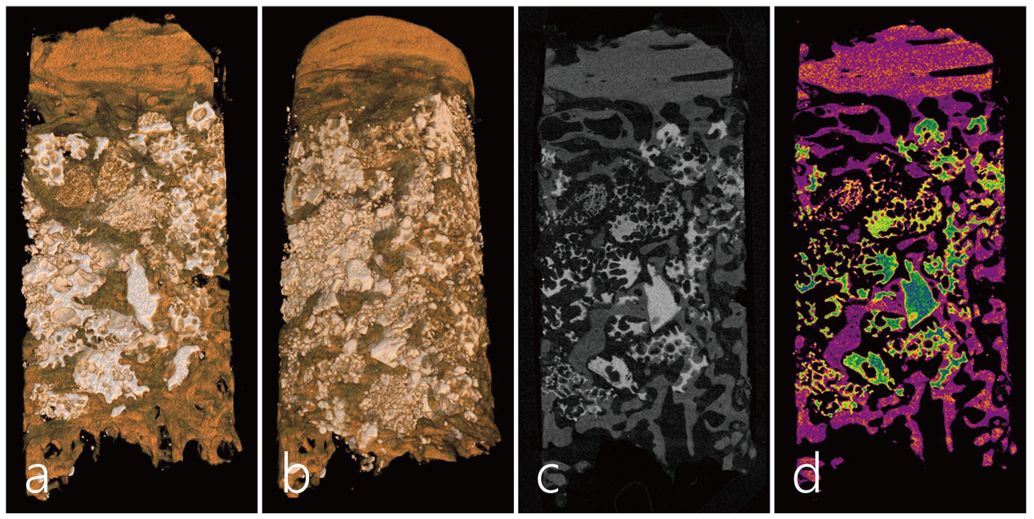 Medicina 59 01626 g004