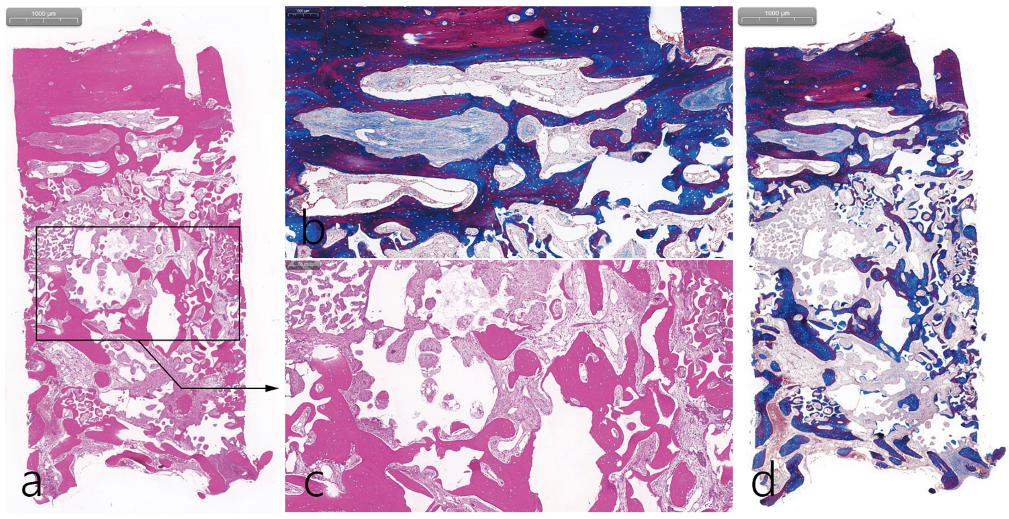 Medicina 59 01626 g005