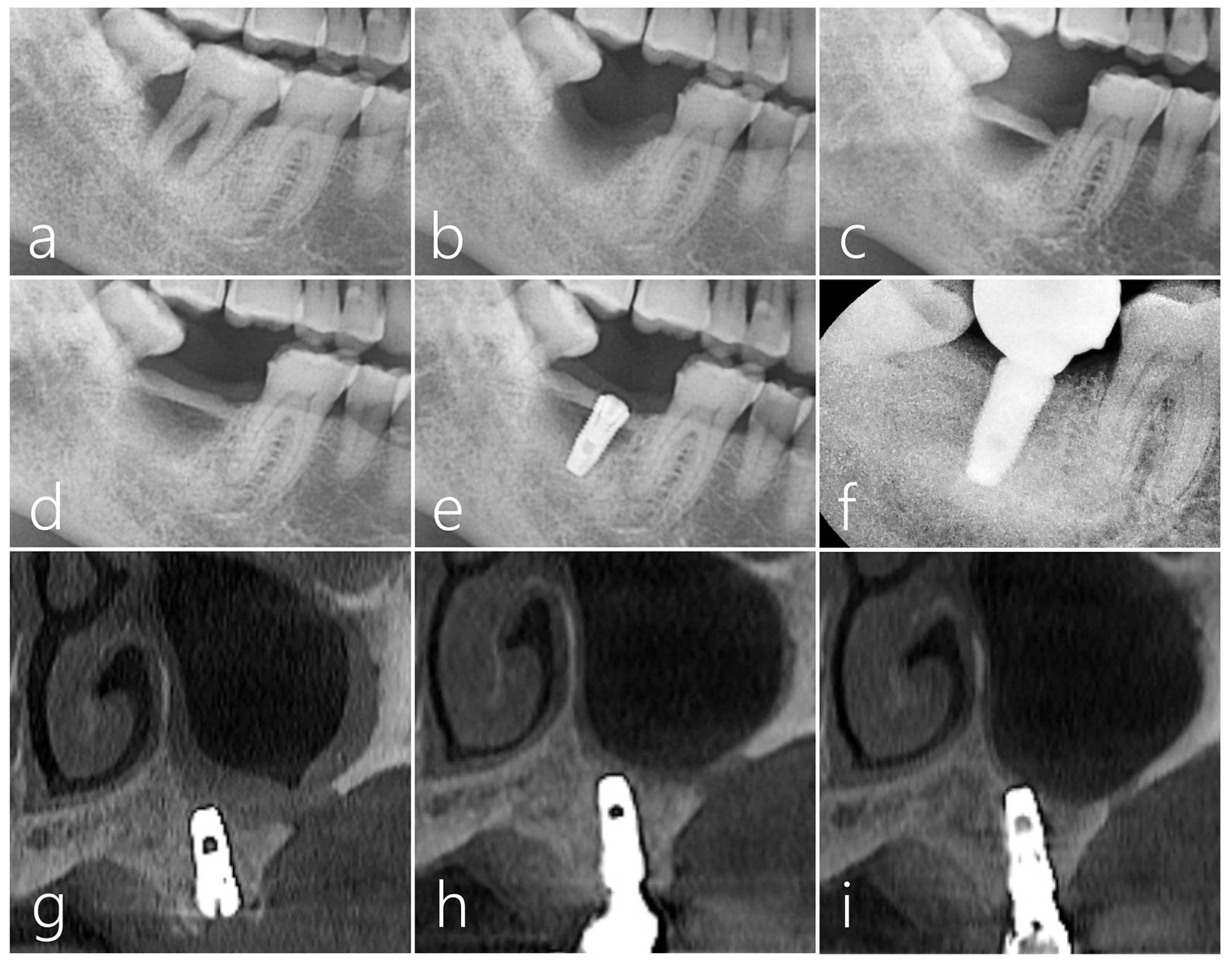 Medicina 59 01626 g007