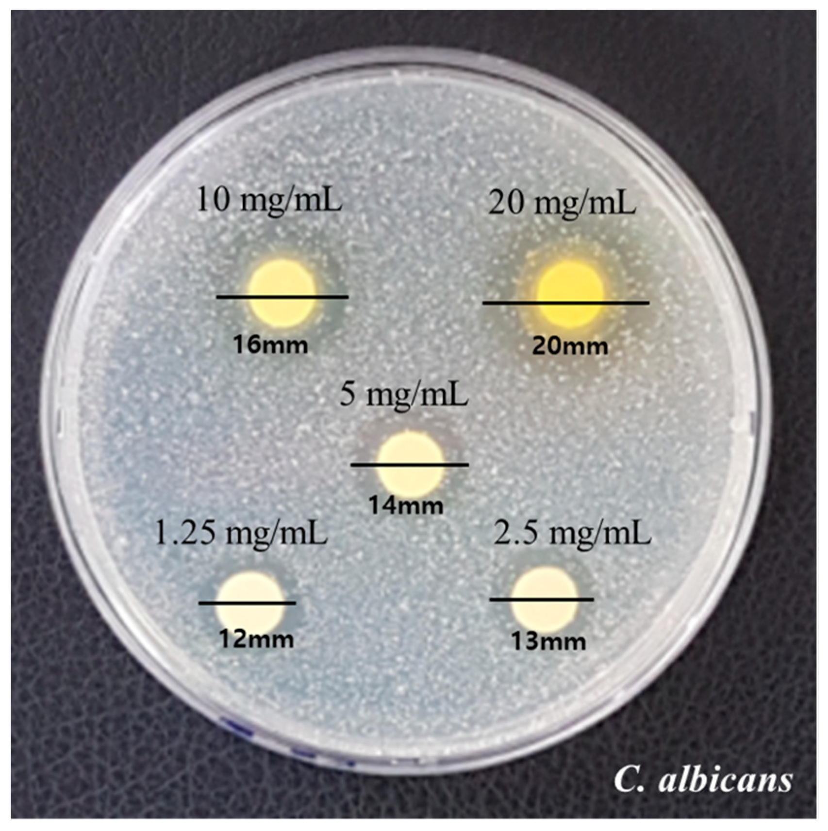 Medicina 59 01642 g001