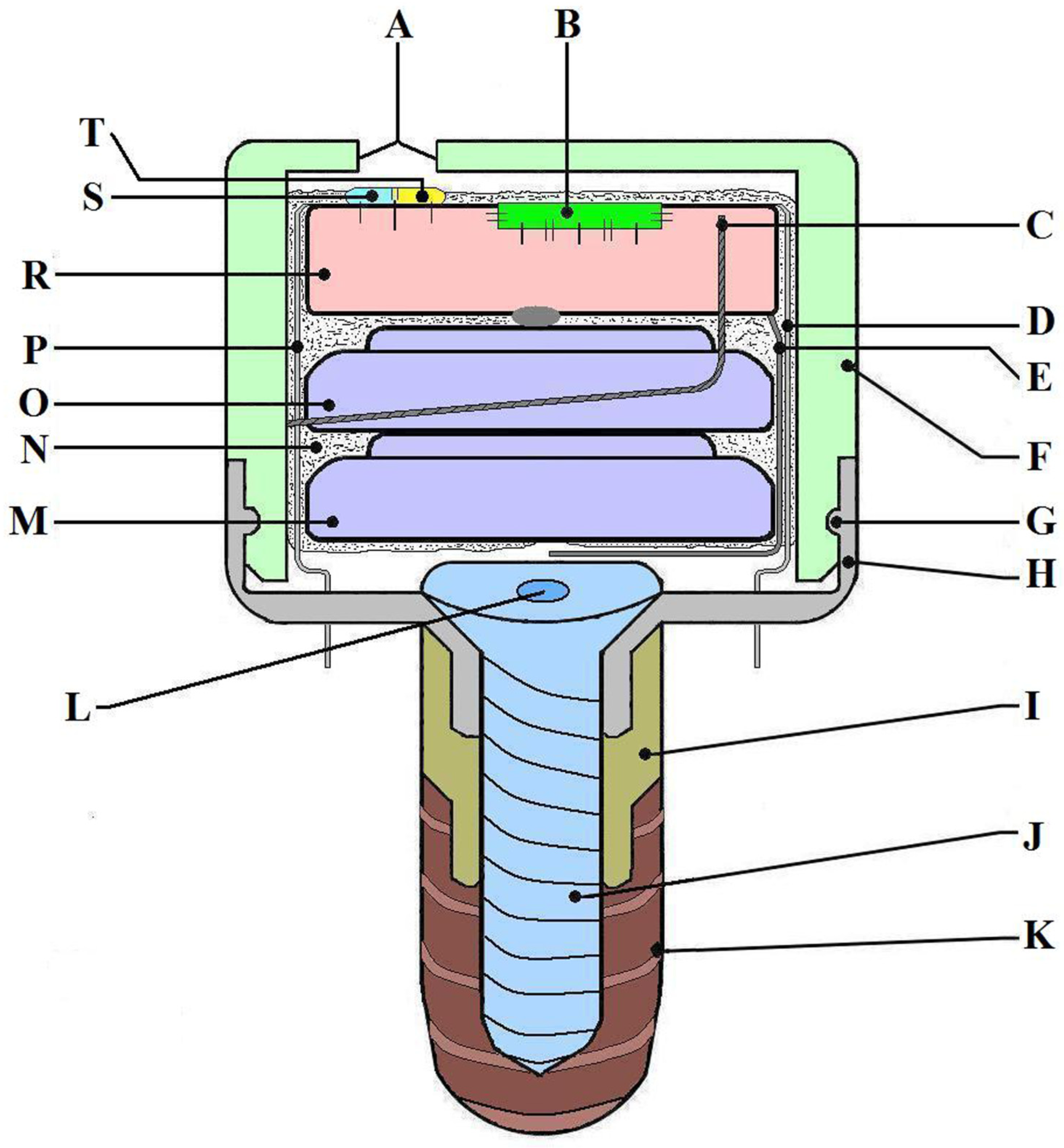 Medicina 59 01647 g001