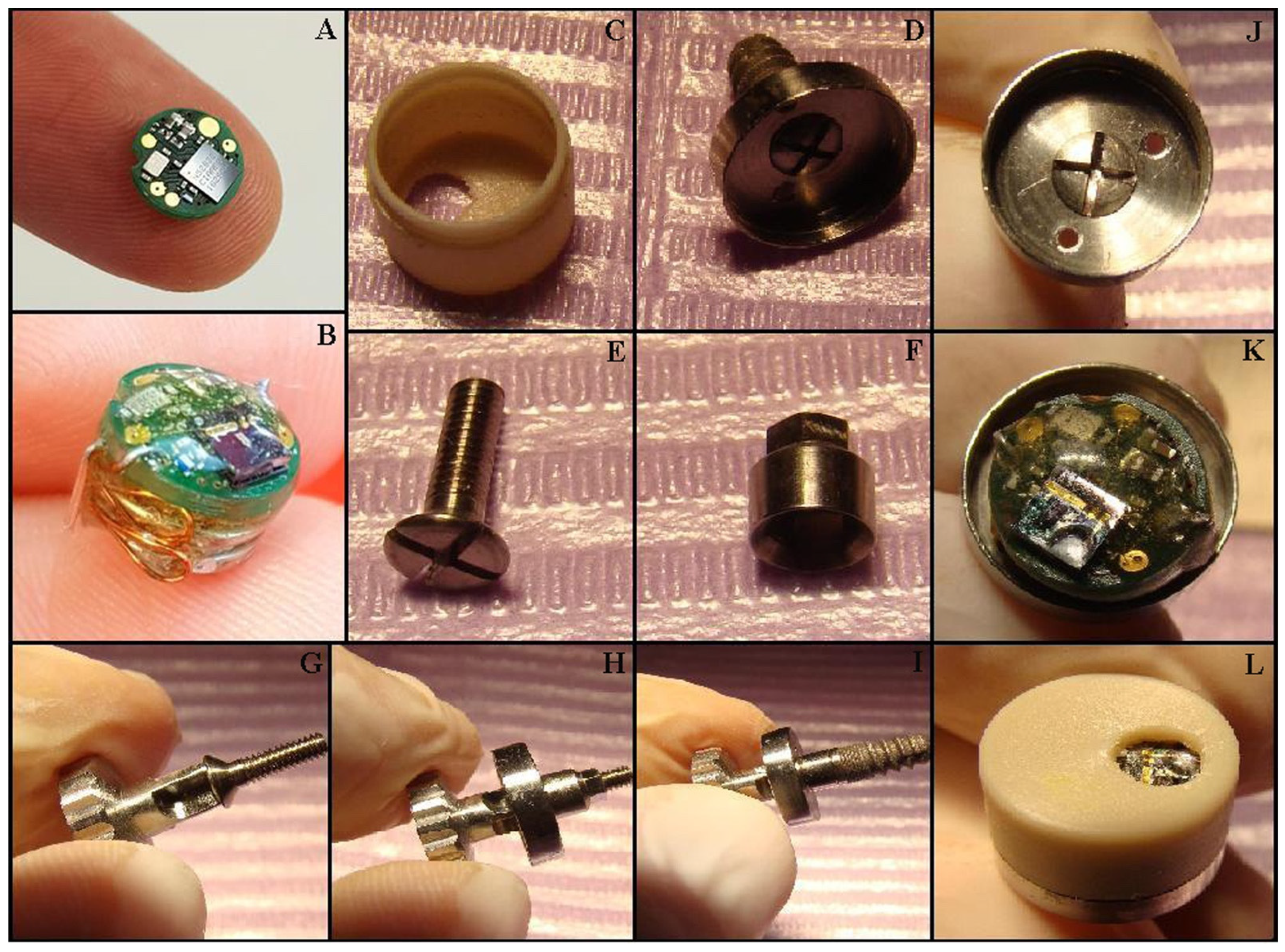 Medicina 59 01647 g002