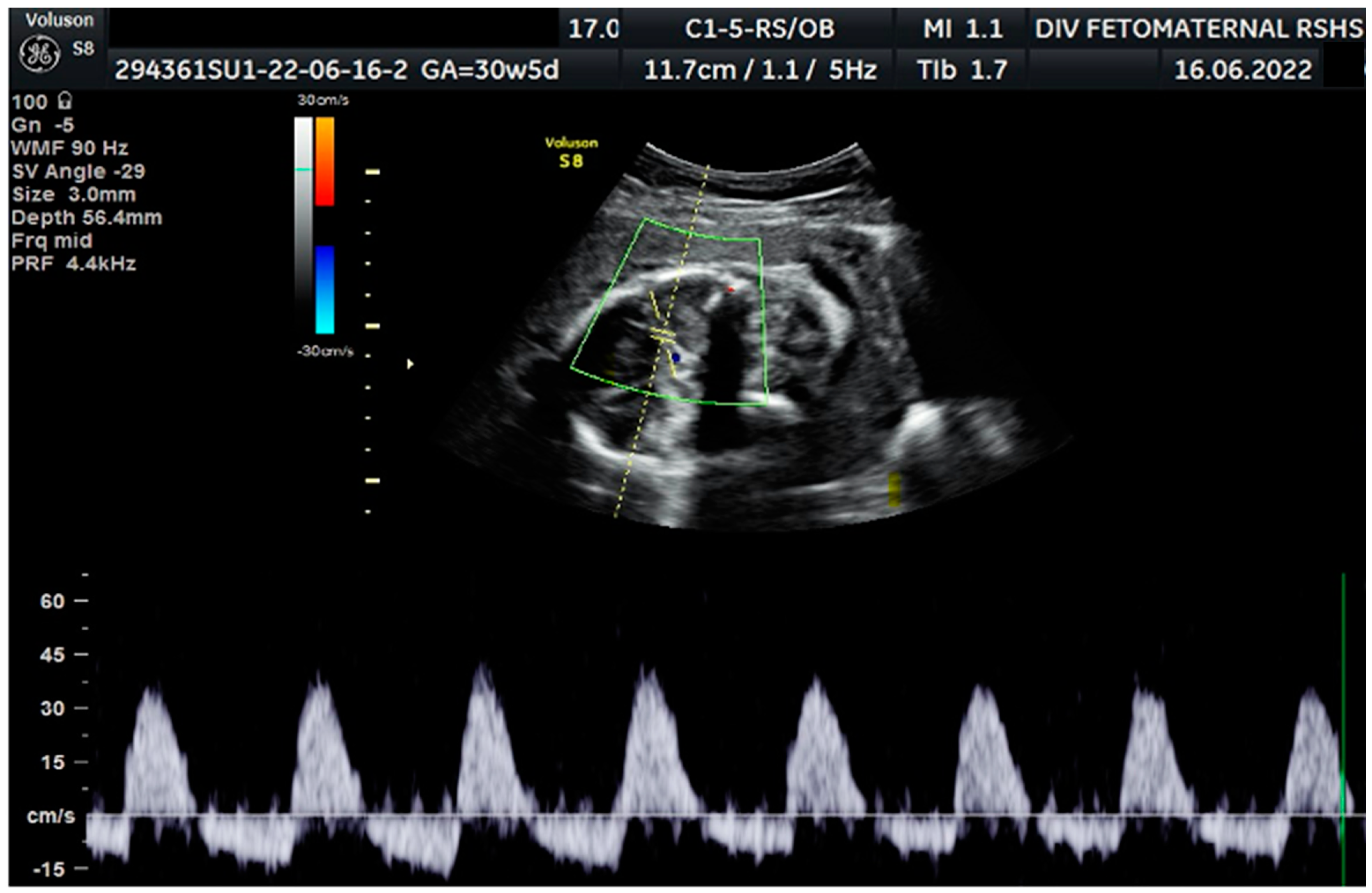Medicina 59 01648 g002