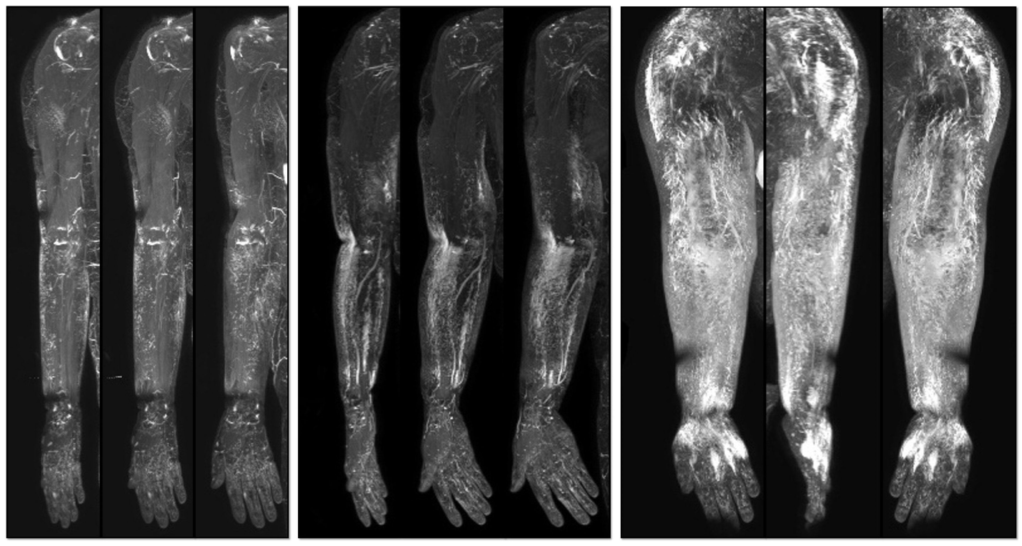 Medicina 59 01656 g001