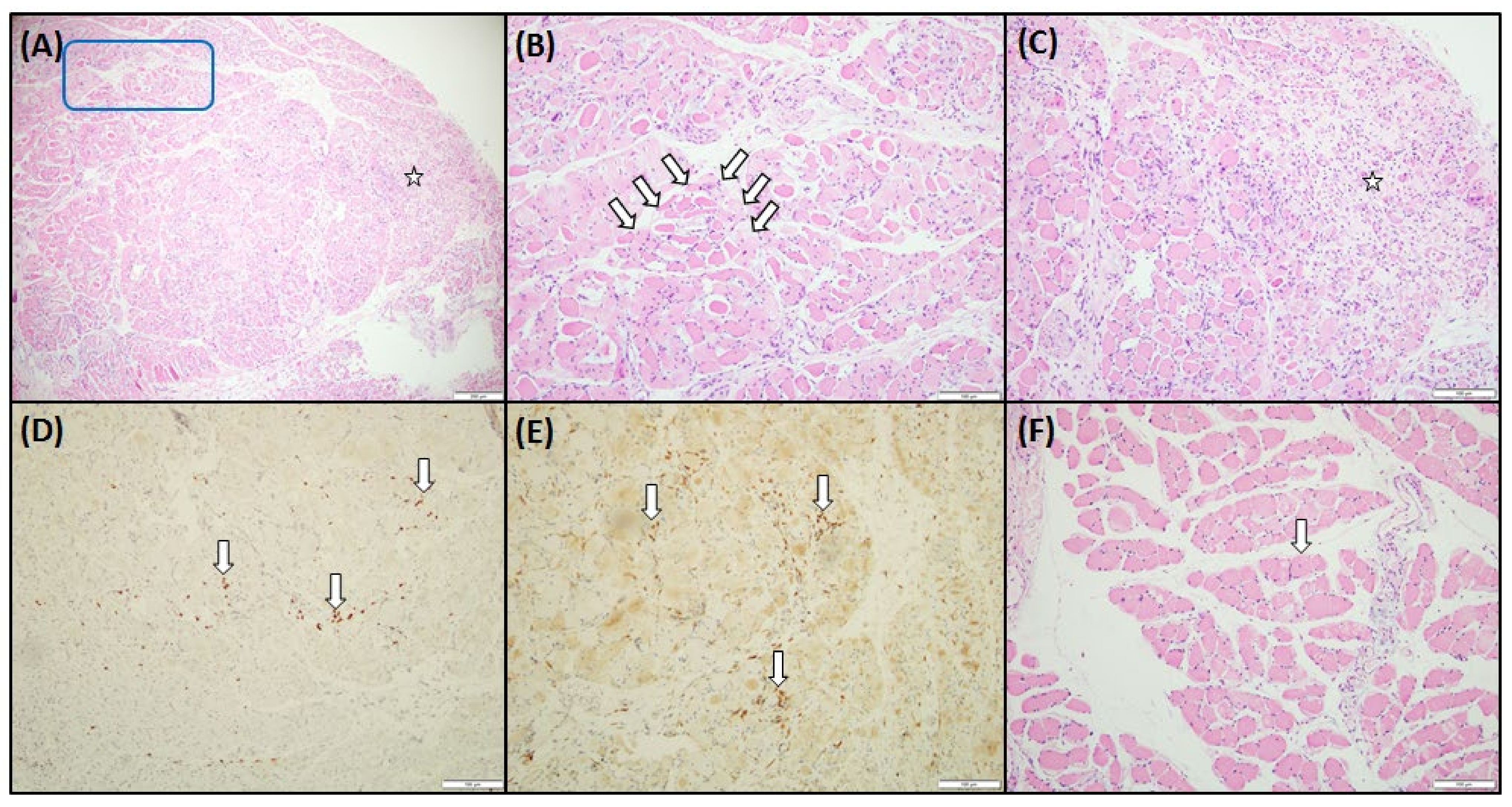 Medicina 59 01688 g004