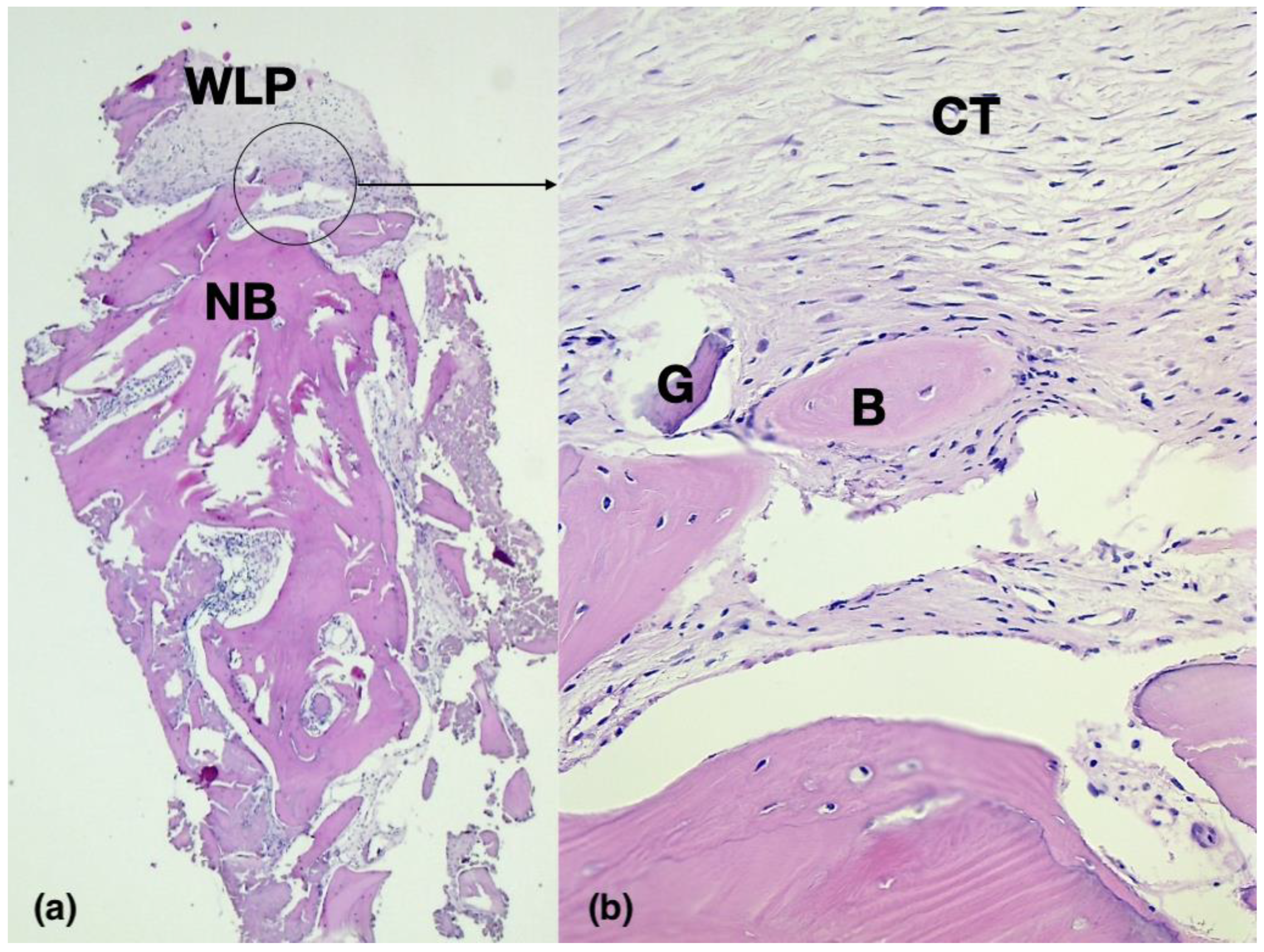 Medicina 59 01694 g001