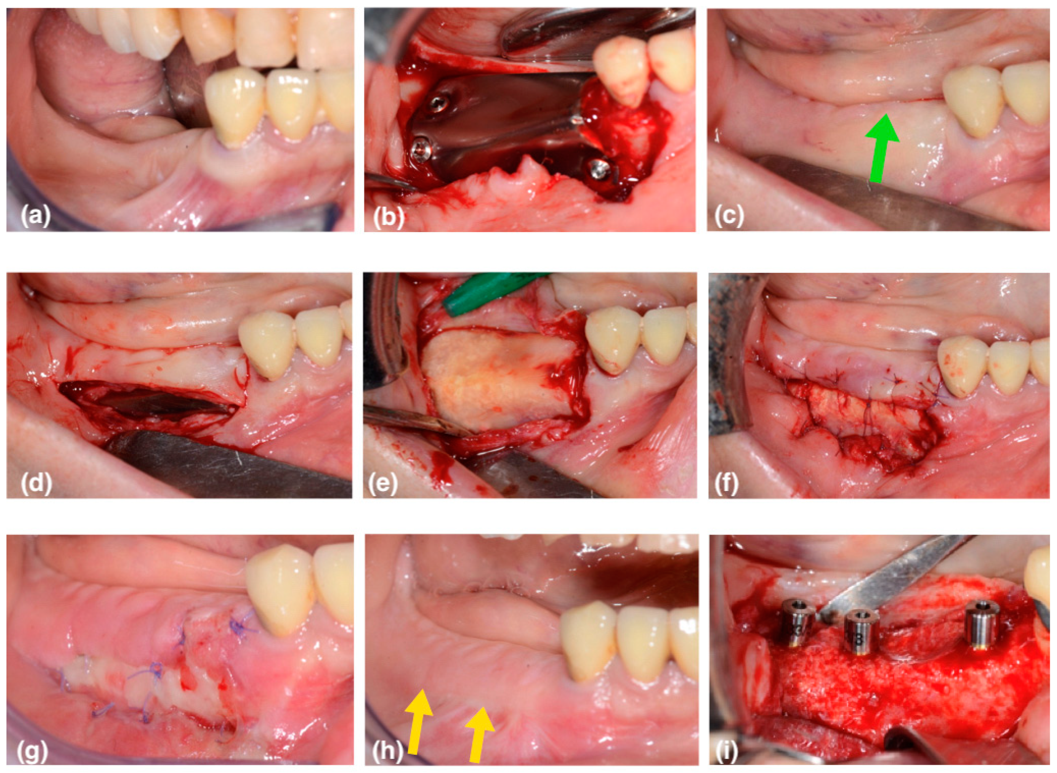 Medicina 59 01694 g002