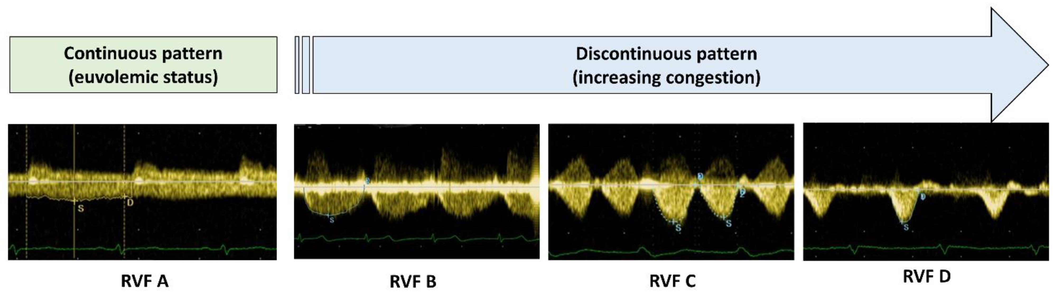 Medicina 59 01704 g002