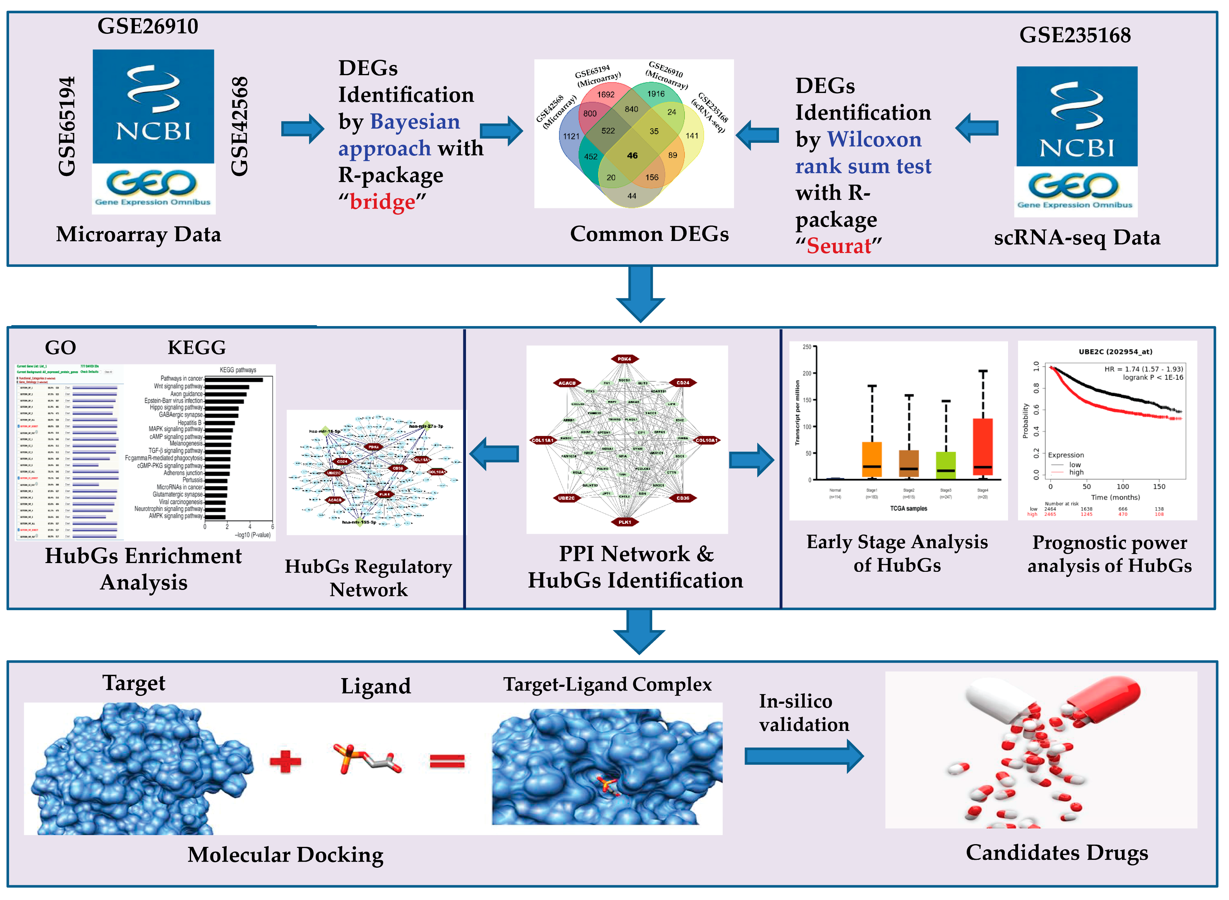 Medicina 59 01705 g001 Medicina 59 01705 g001