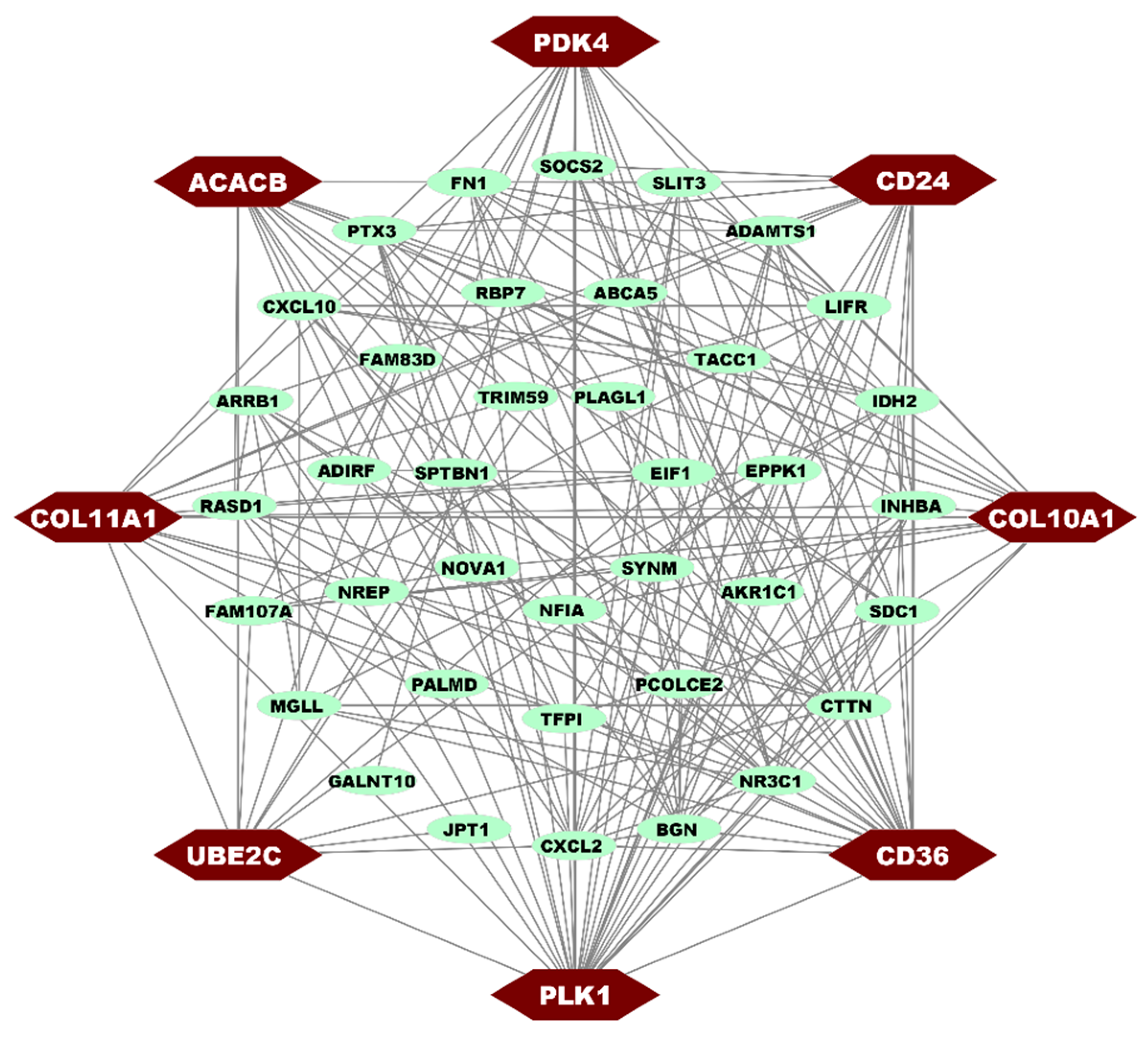 Medicina 59 01705 g003 Medicina 59 01705 g003