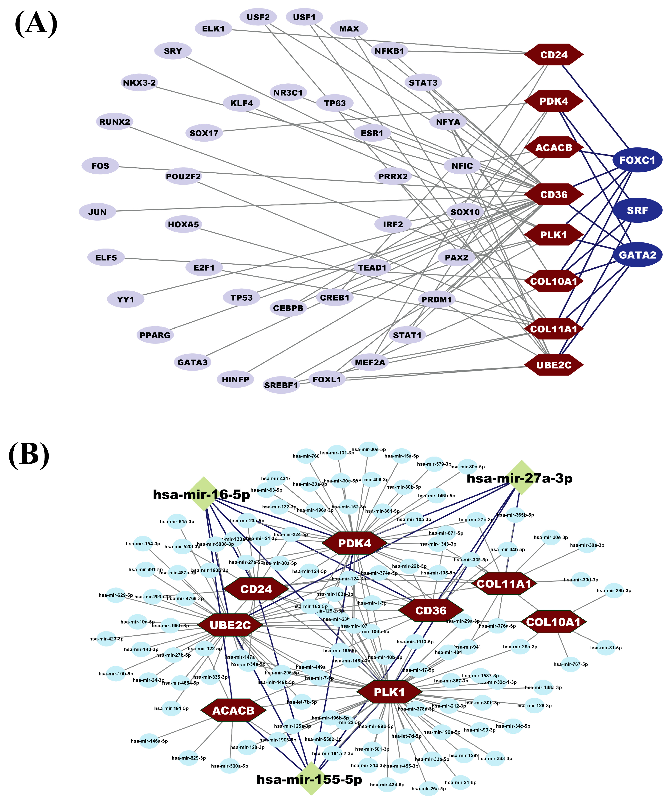 Medicina 59 01705 g004 Medicina 59 01705 g004