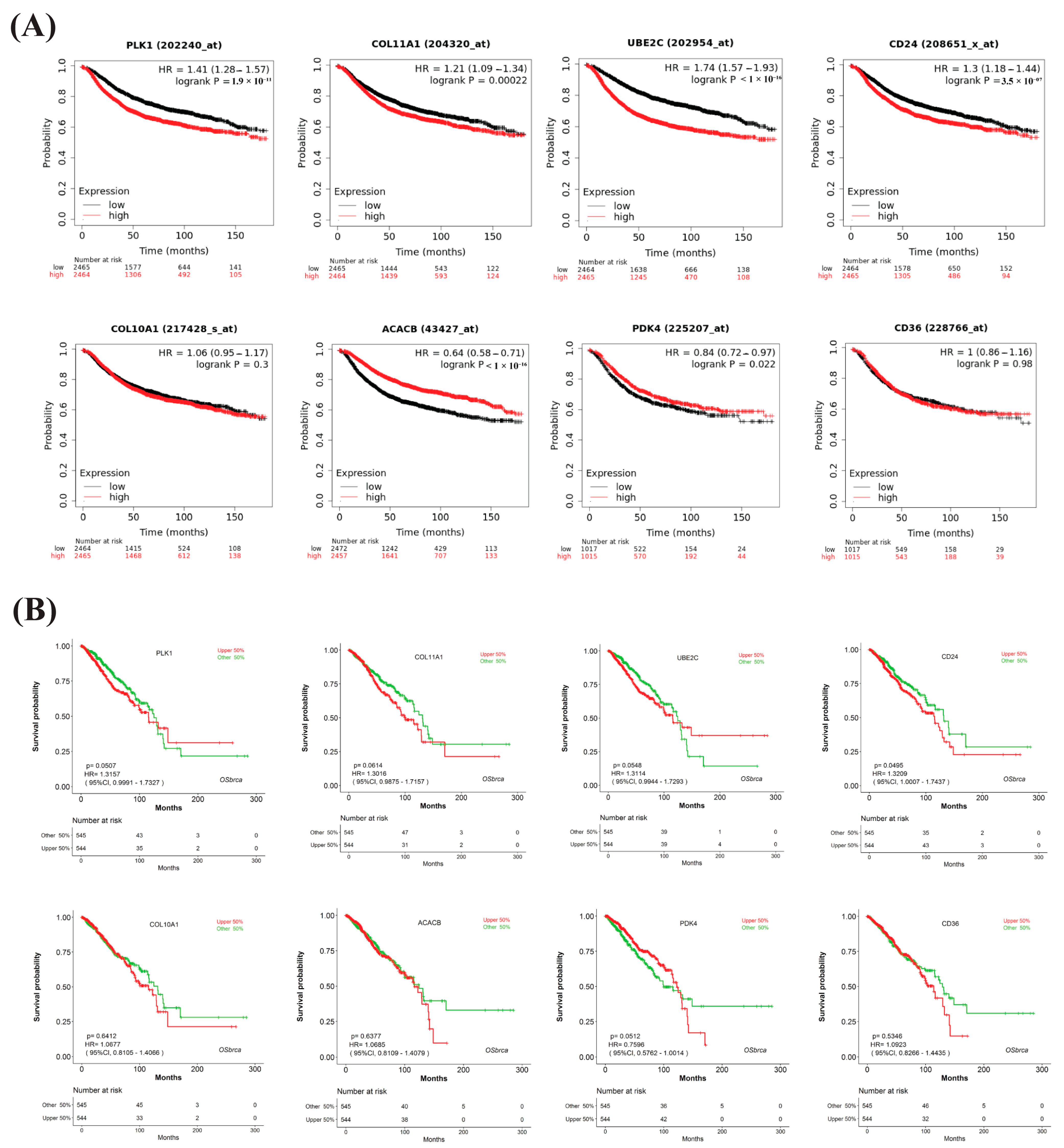 Medicina 59 01705 g005 Medicina 59 01705 g005