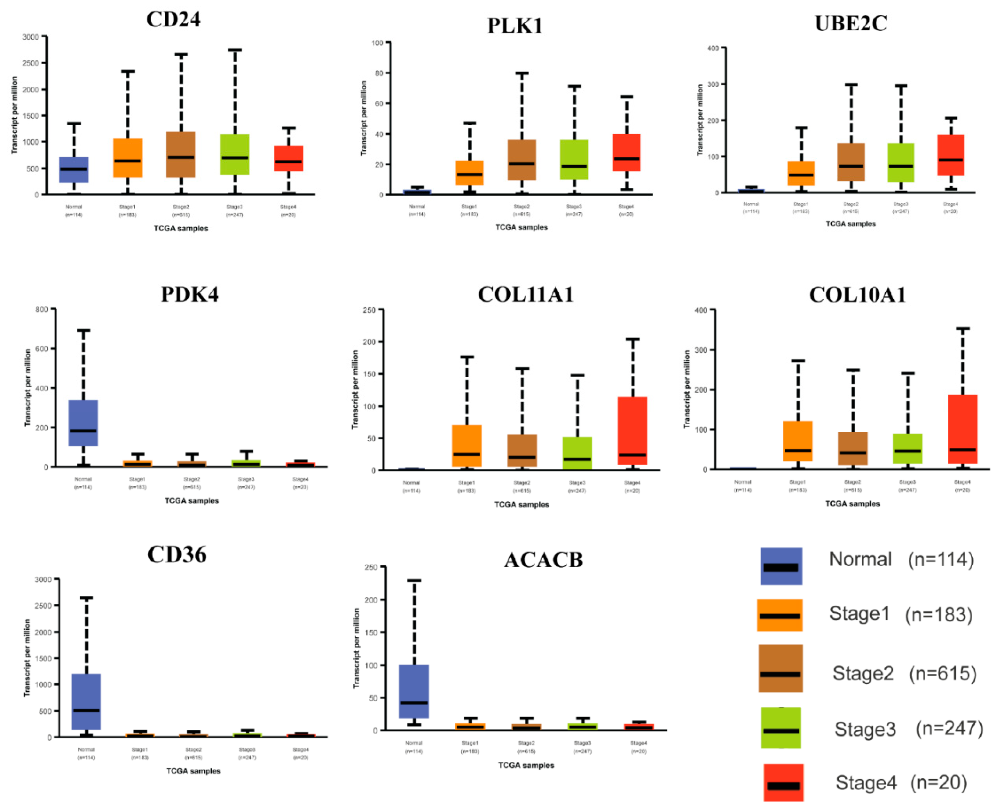 Medicina 59 01705 g006 Medicina 59 01705 g006