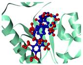 Medicina 59 01705 i003 Medicina 59 01705 i003