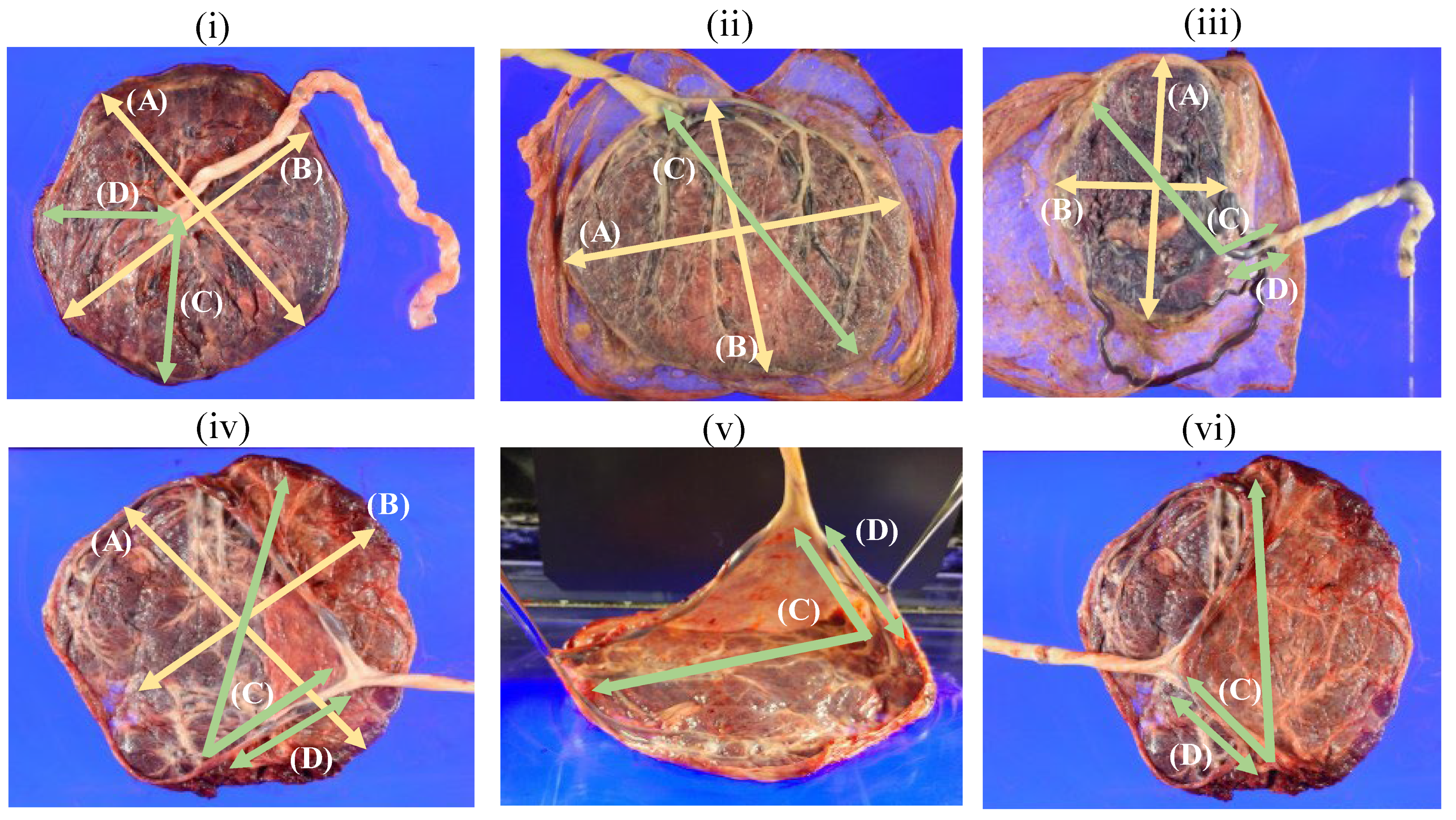 Medicina 59 01715 g002
