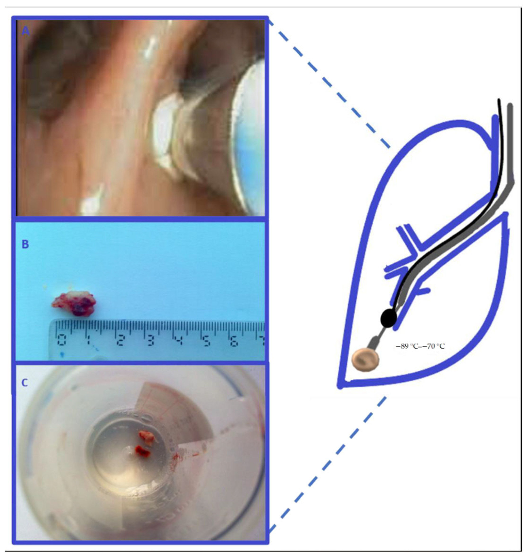 Medicina 59 01723 g002