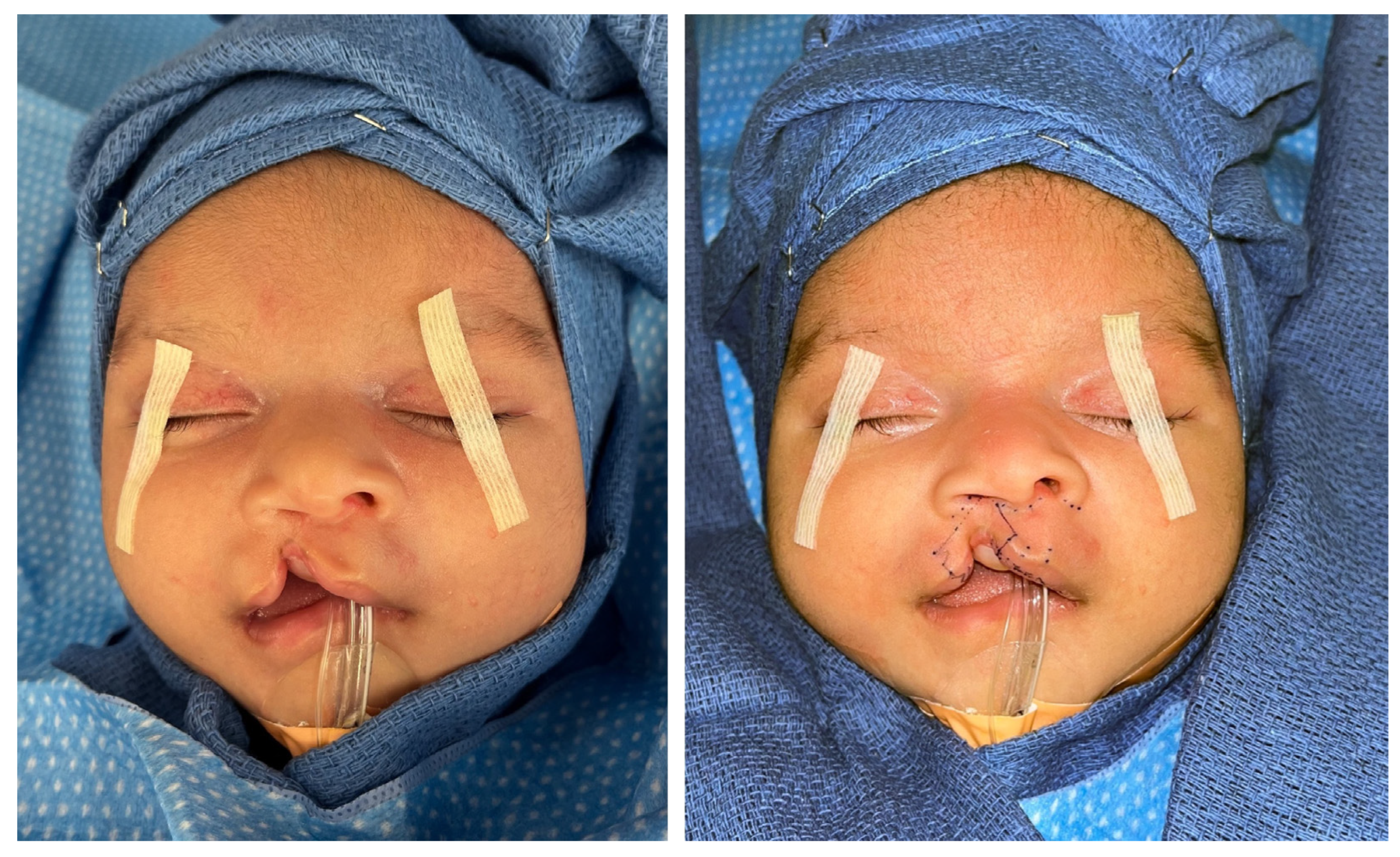 Medicina 59 01741 g002