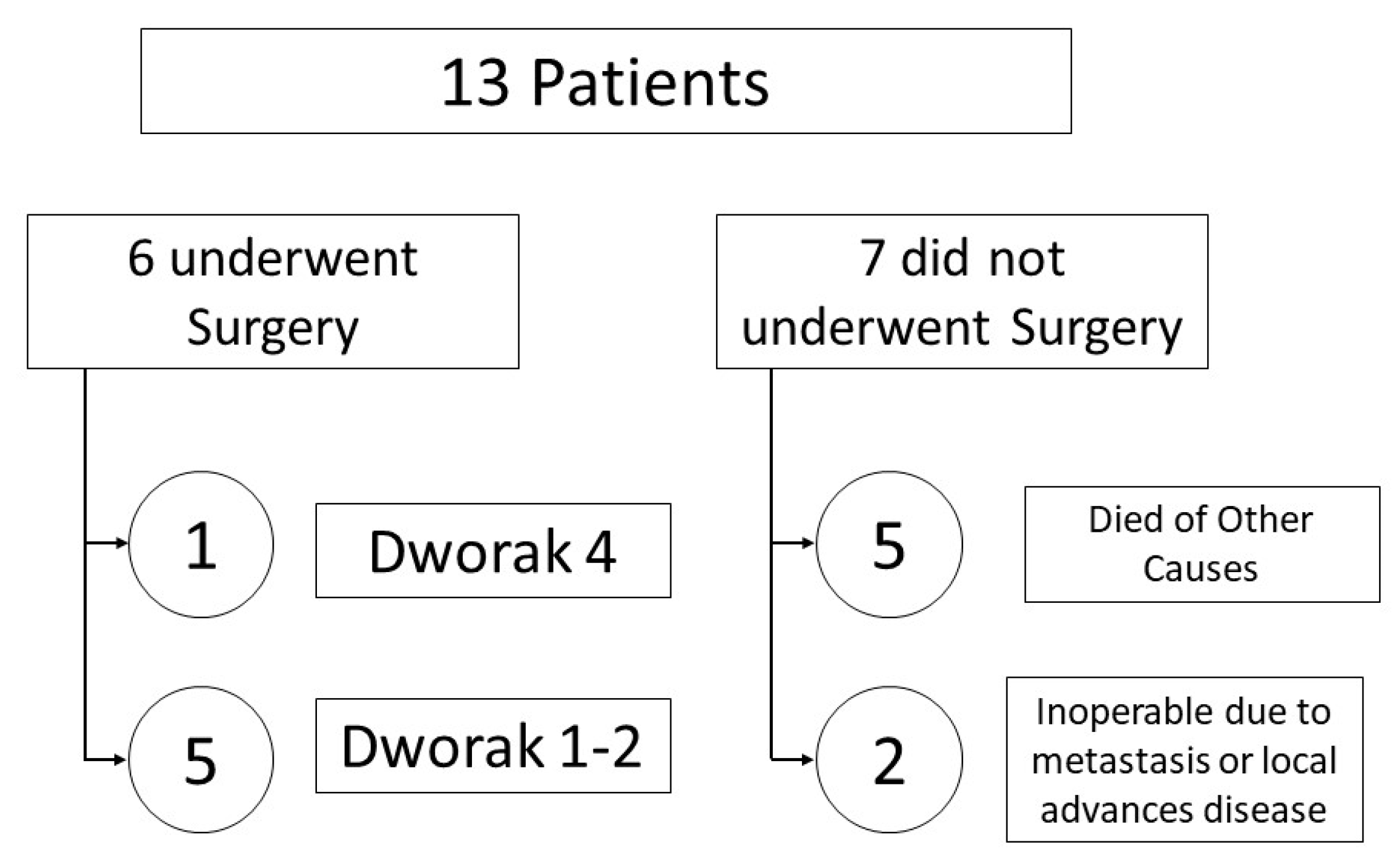 Medicina 59 01742 g001