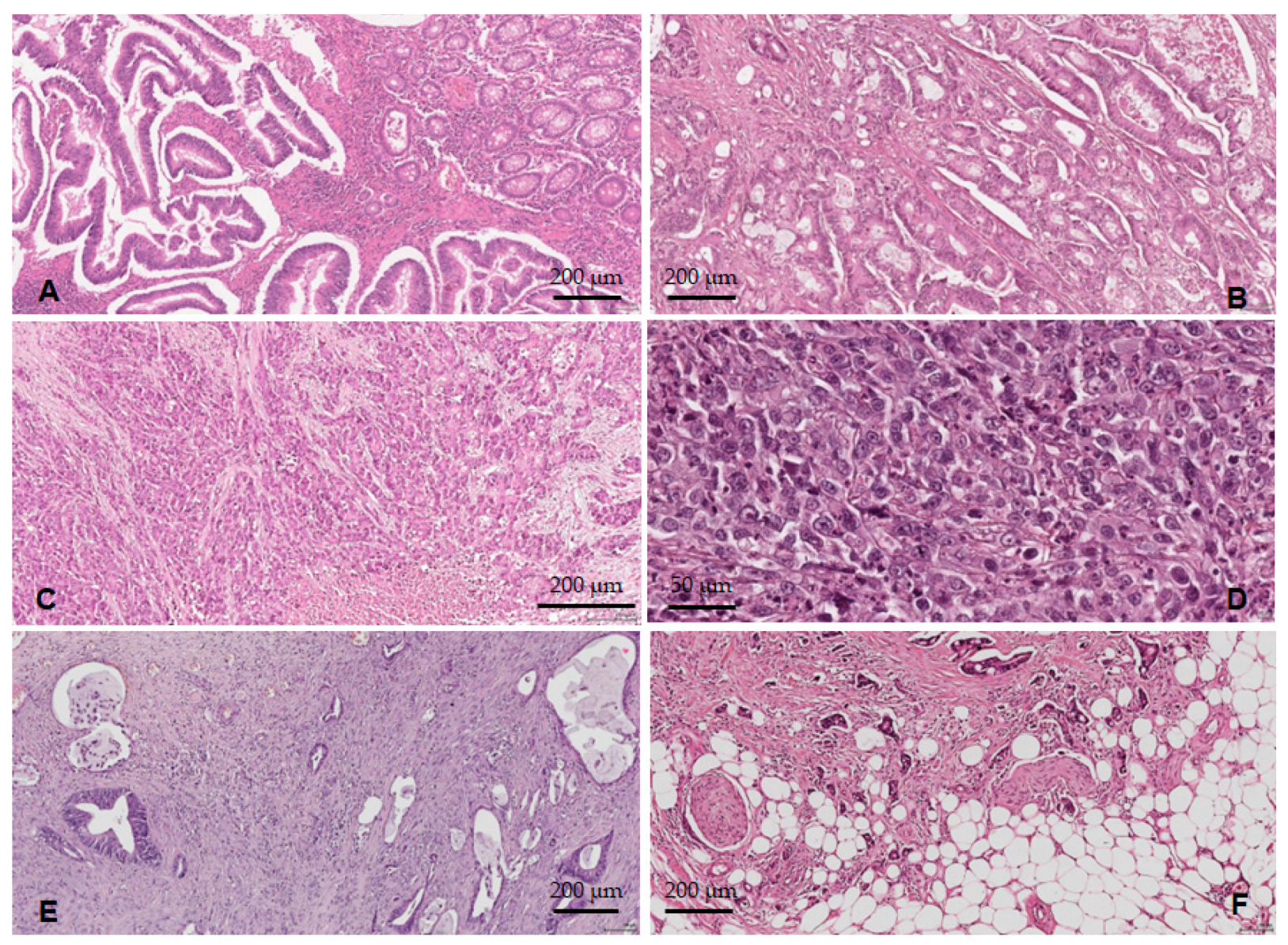 Medicina 59 01761 g005 Medicina 59 01761 g005