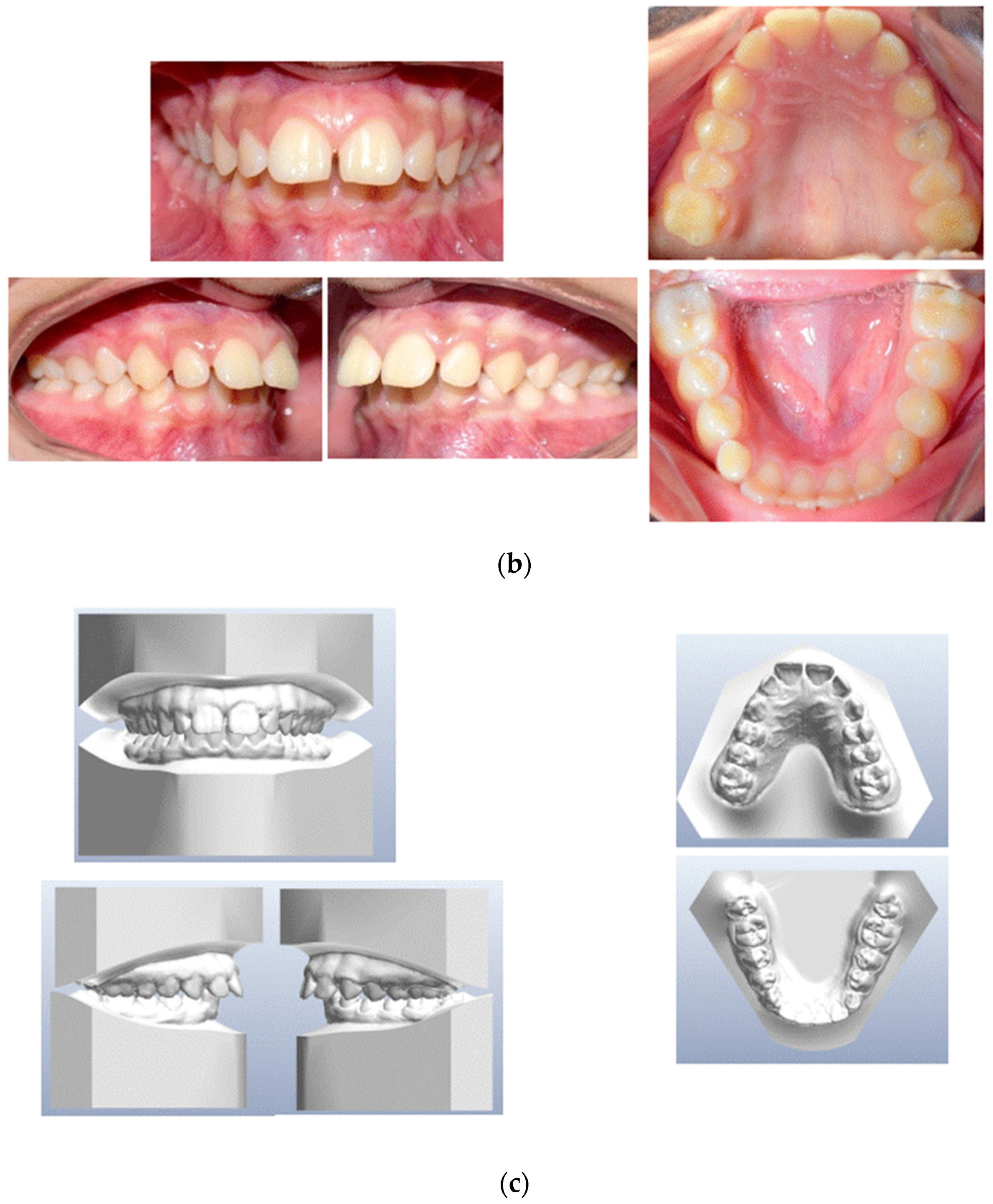 Medicina 59 01774 g001b