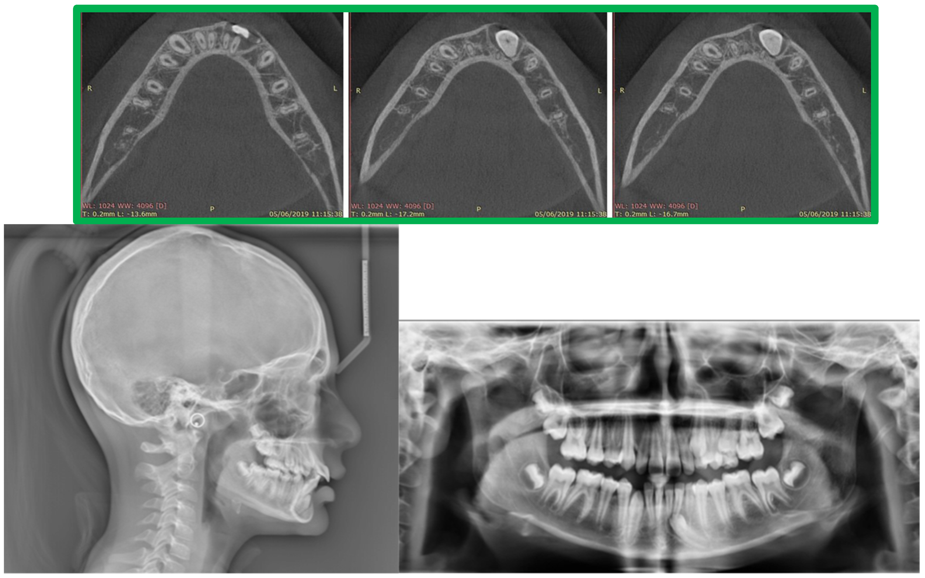 Medicina 59 01774 g002