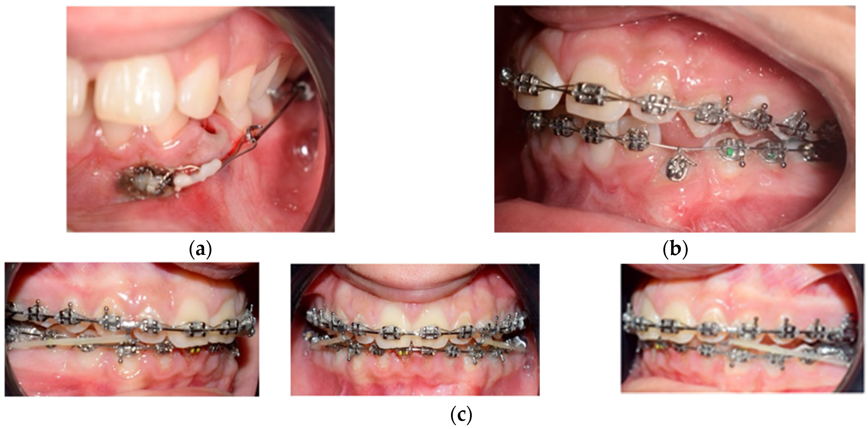 Medicina 59 01774 g003