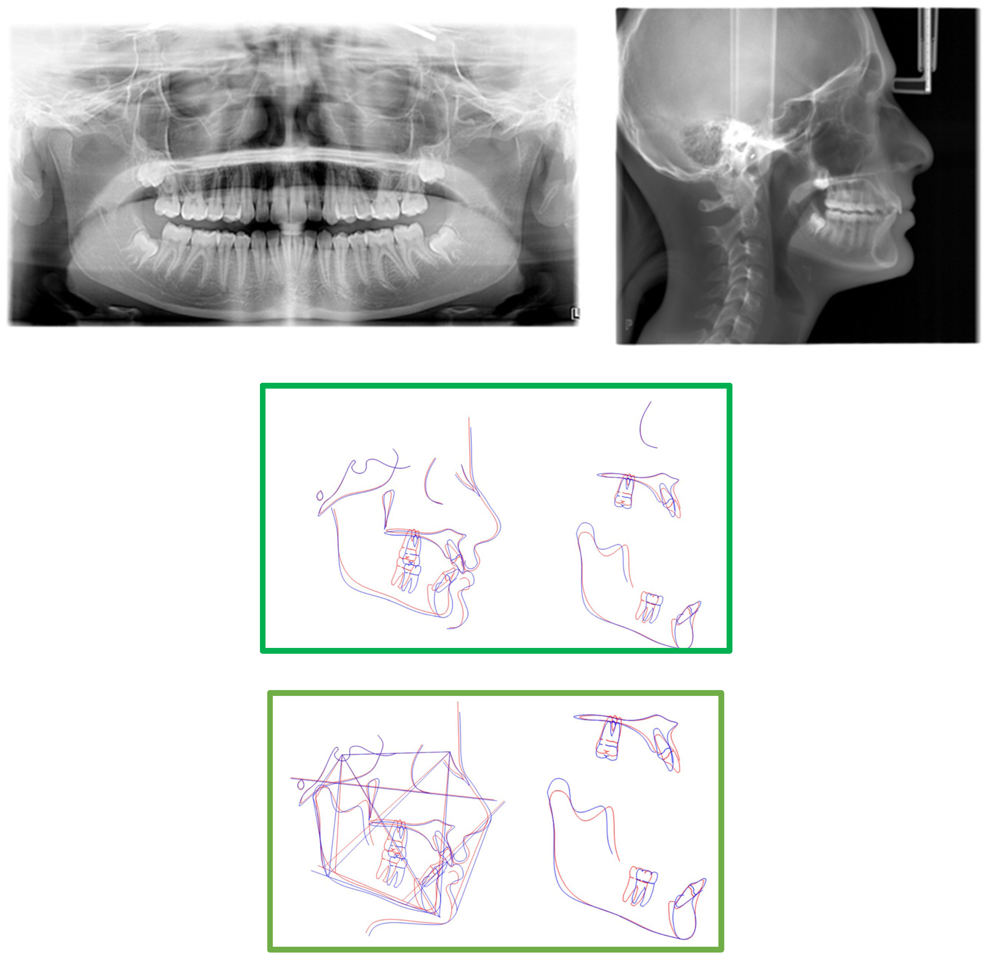 Medicina 59 01774 g005