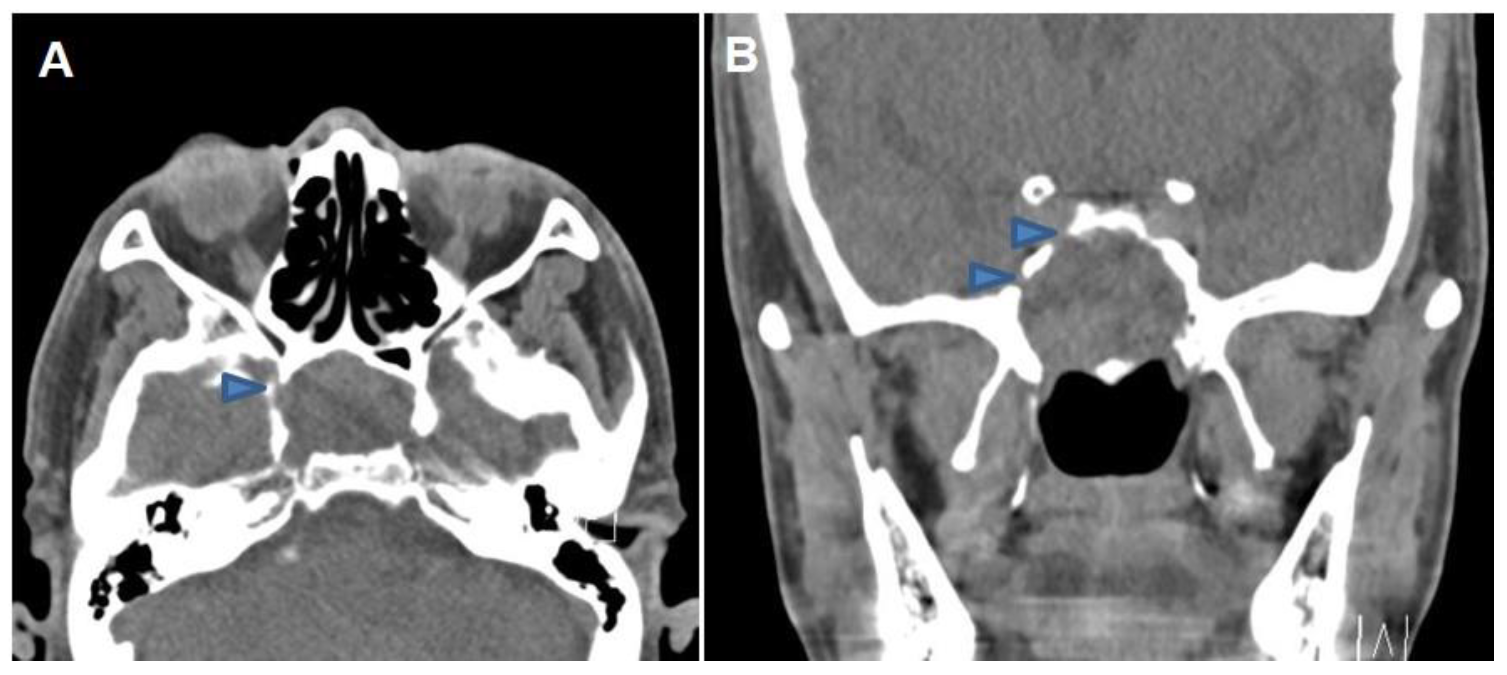 Medicina 59 01802 g001
