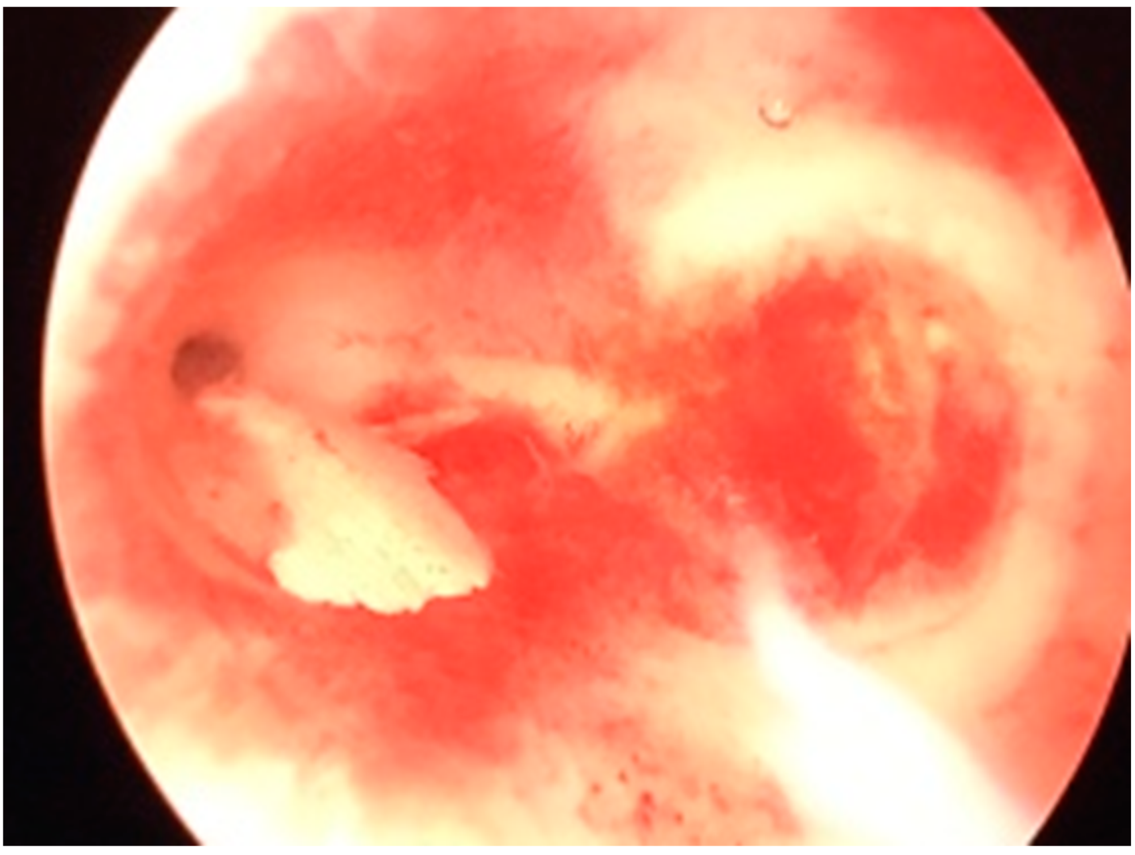 Medicina 59 01803 g002