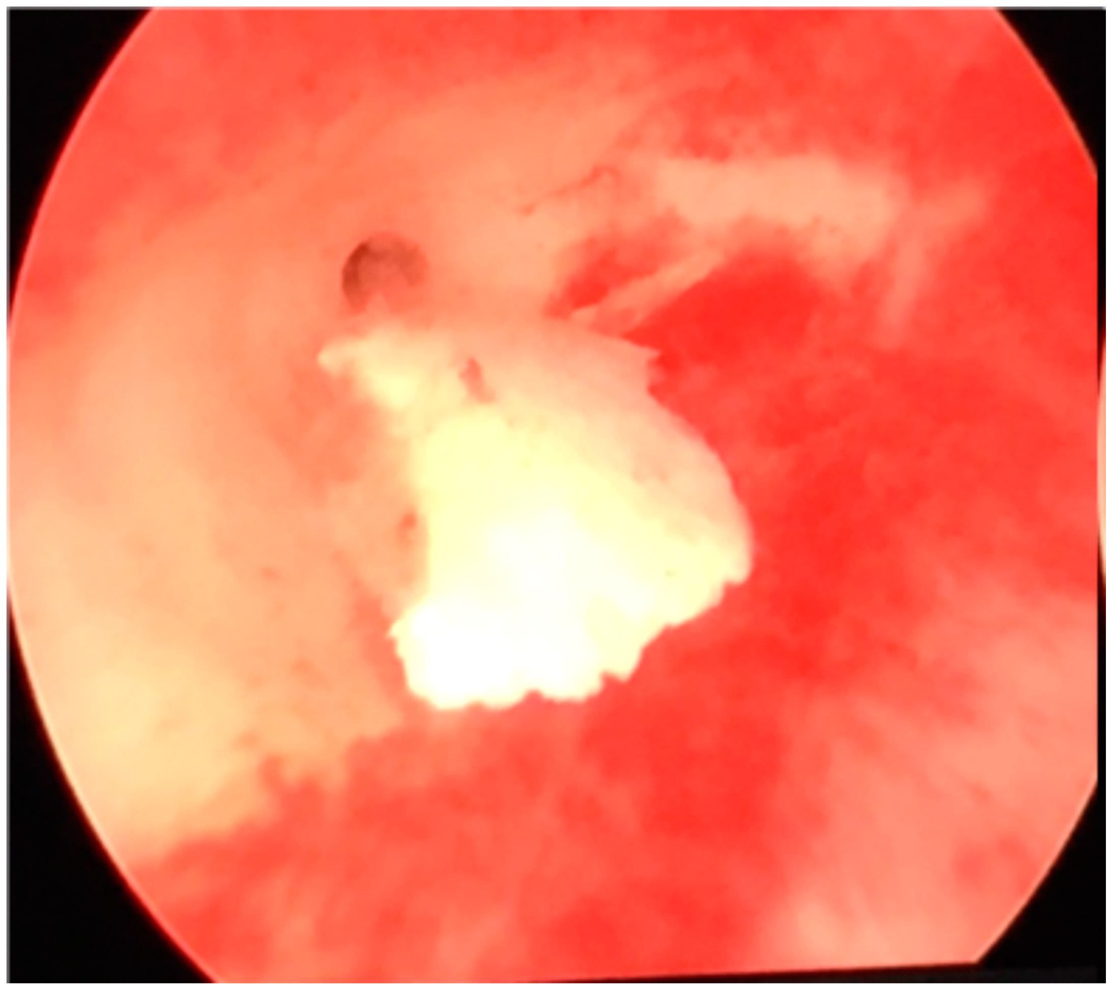 Medicina 59 01803 g003