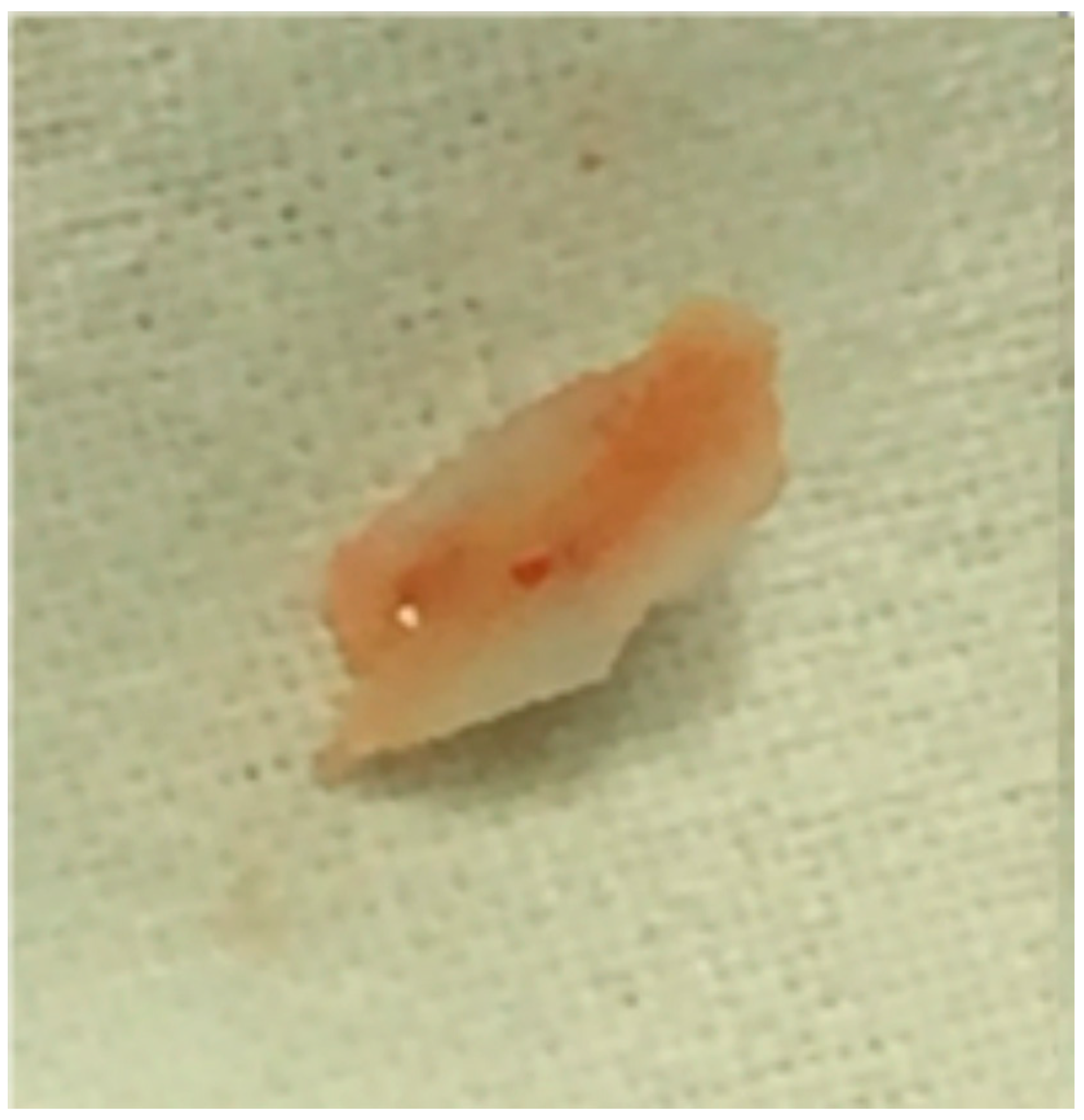 Medicina 59 01803 g004