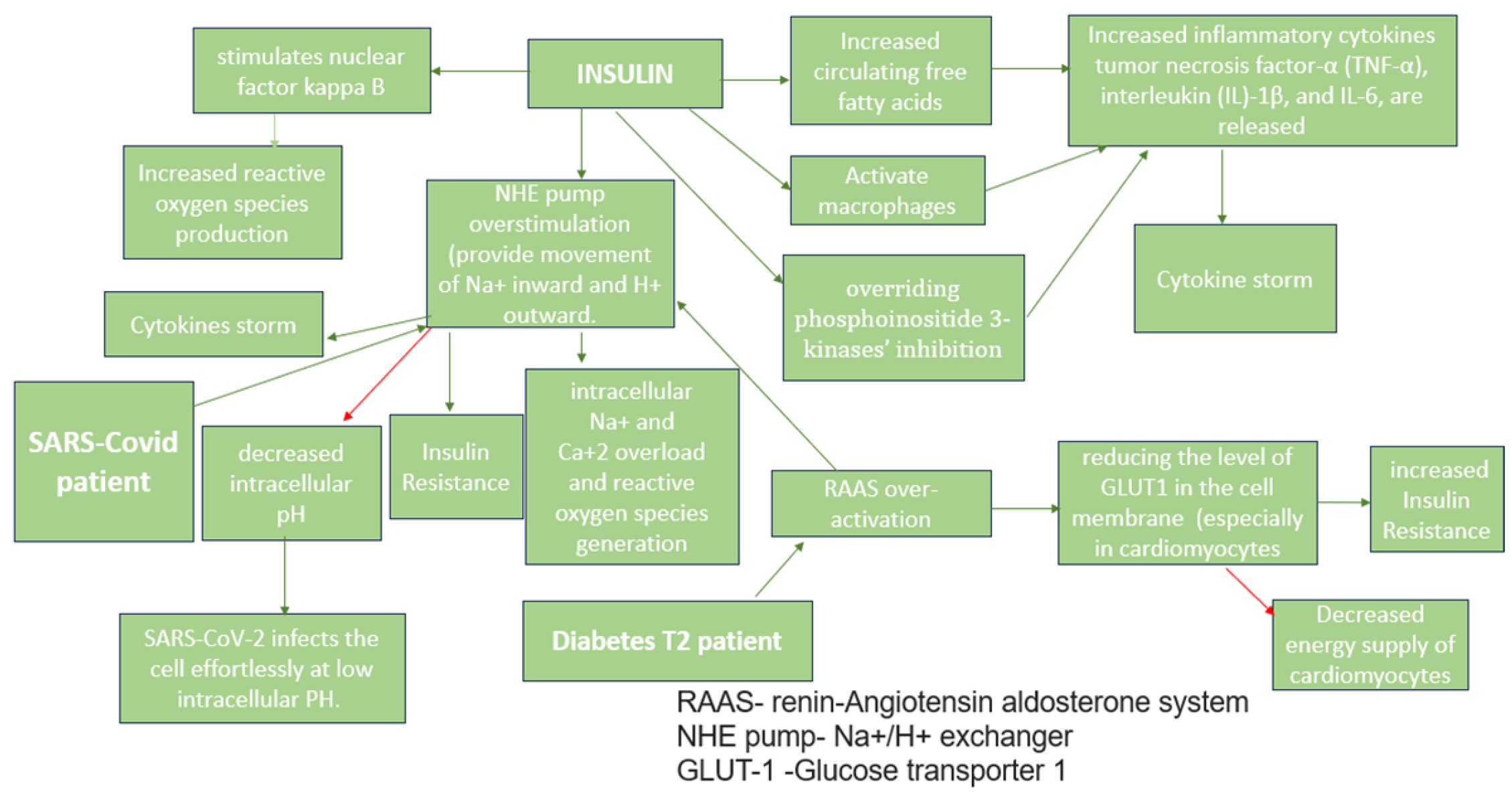 Medicina 59 01810 g001