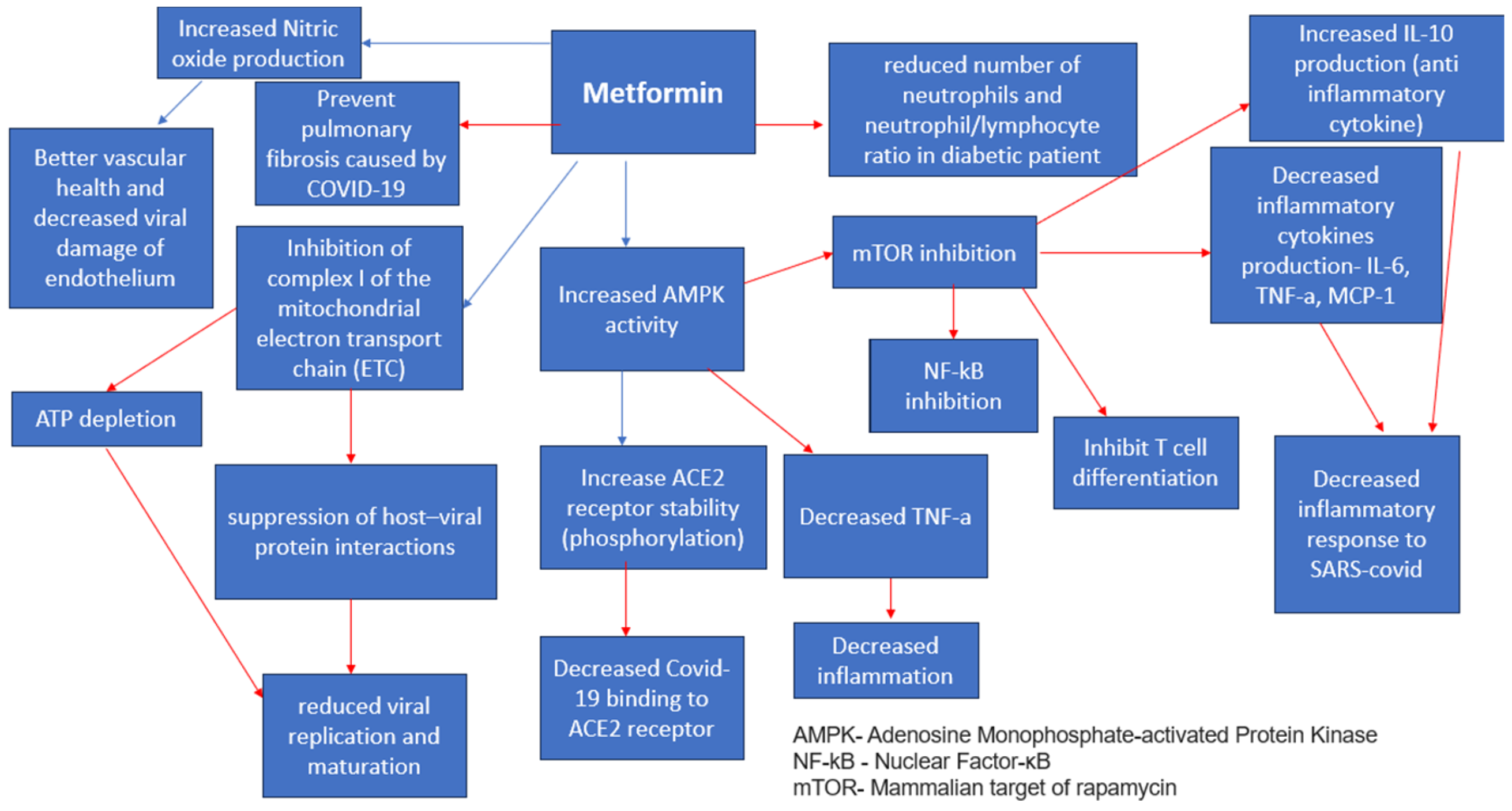Medicina 59 01810 g002