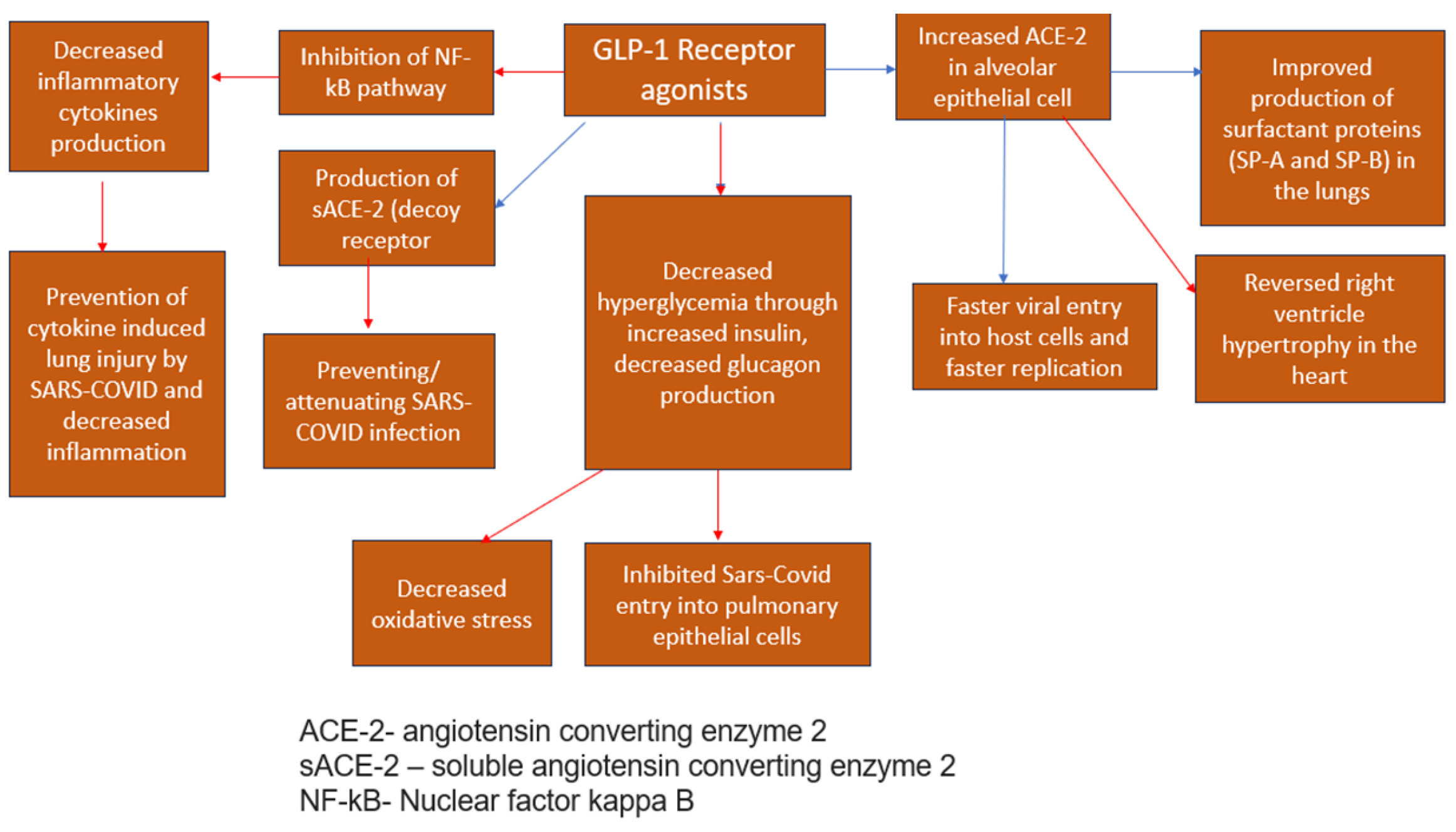 Medicina 59 01810 g003