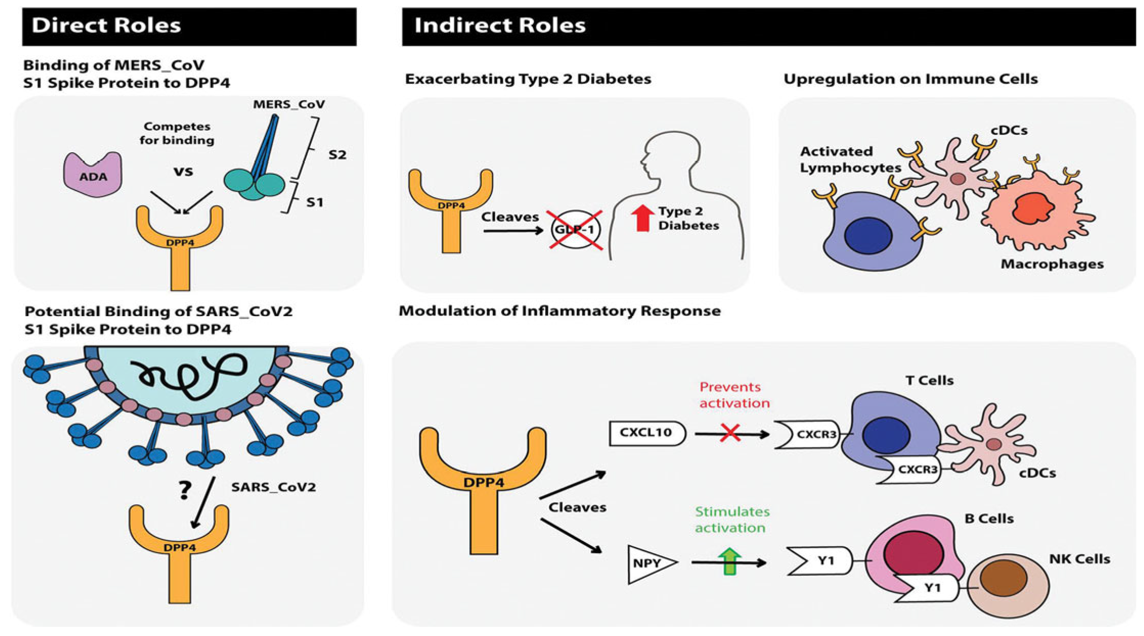 Medicina 59 01810 g005