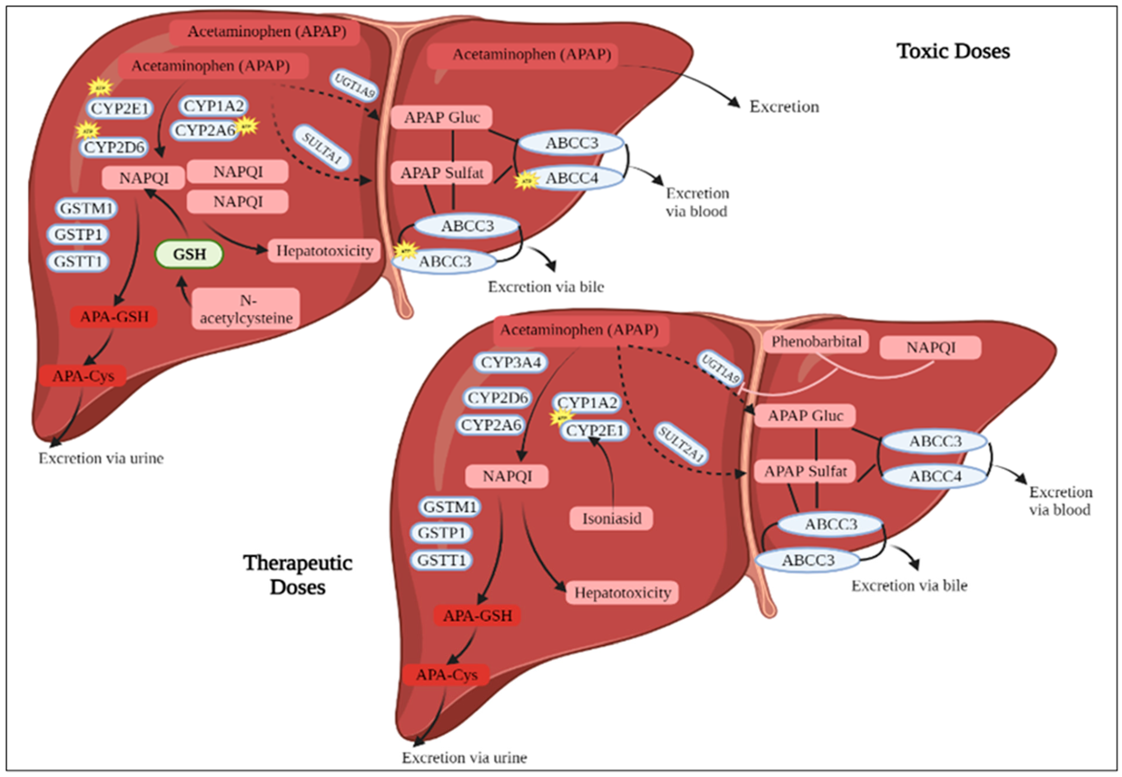 Medicina 59 01814 g001 Medicina 59 01814 g001