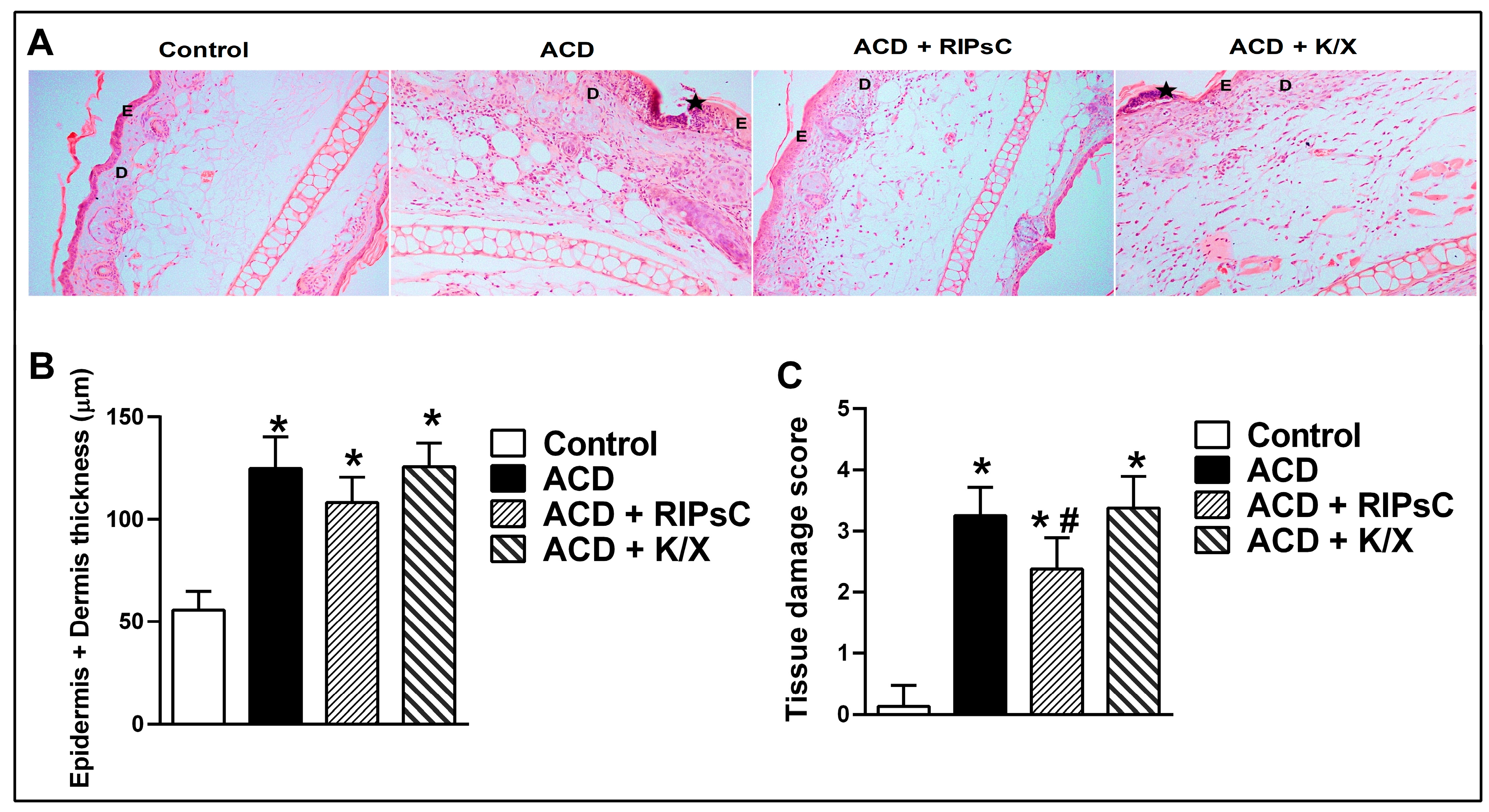 Medicina 59 01816 g003