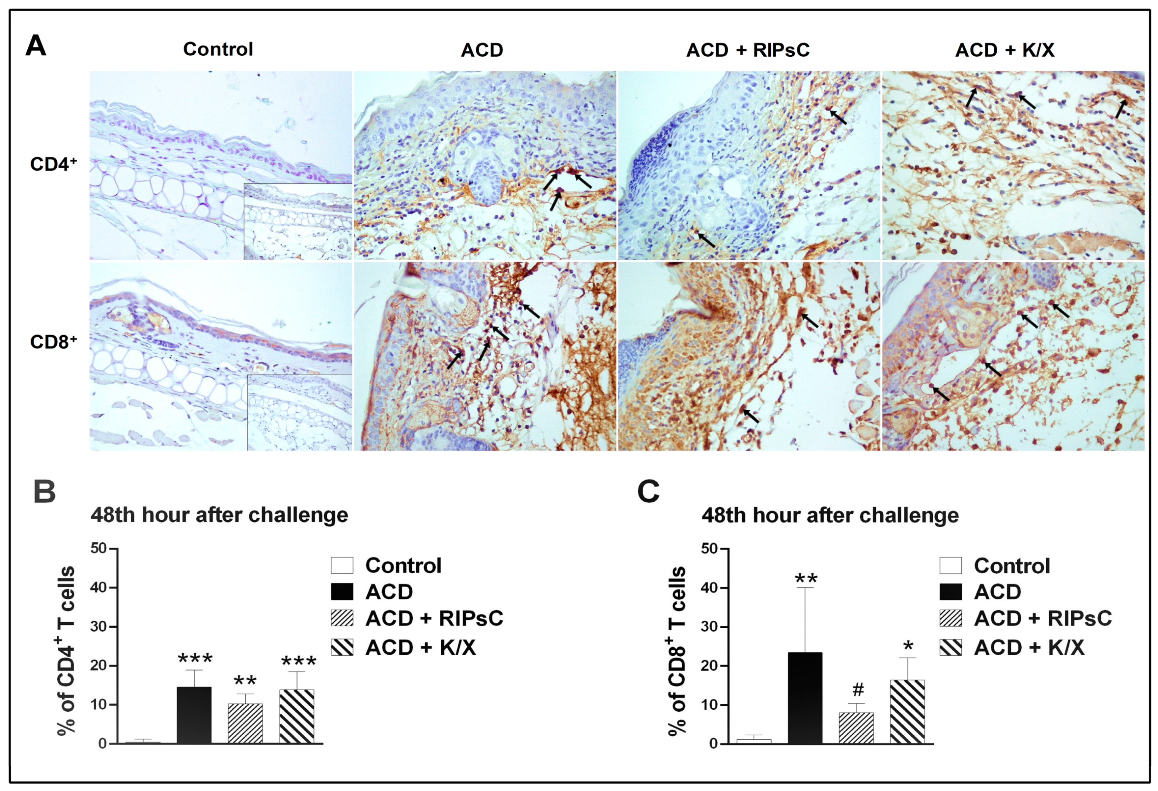 Medicina 59 01816 g004