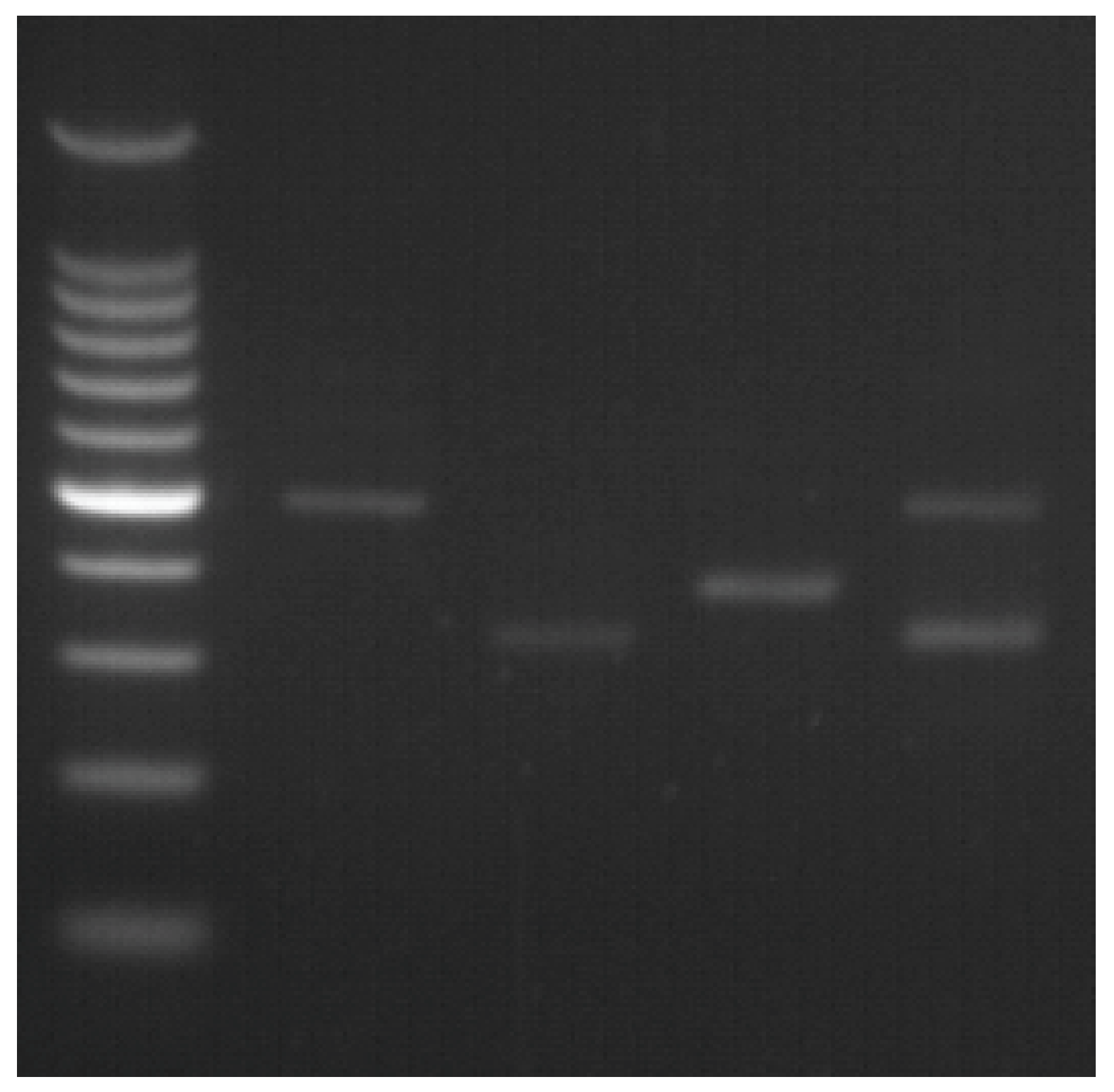 Medicina 59 01821 g001