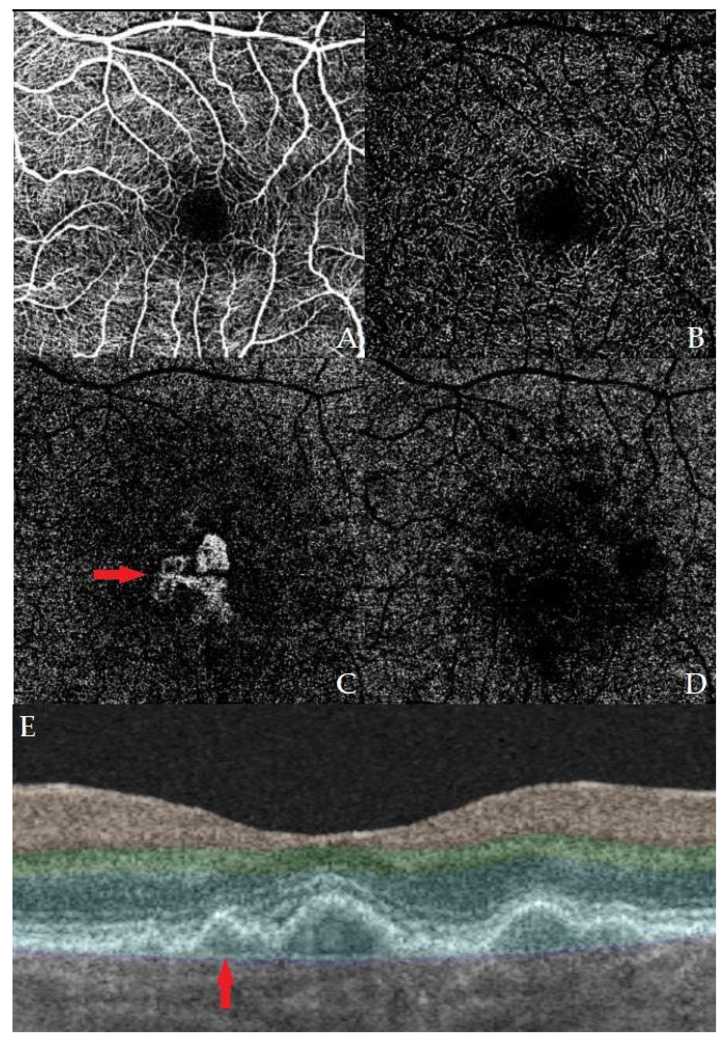 Medicina 59 01829 g001