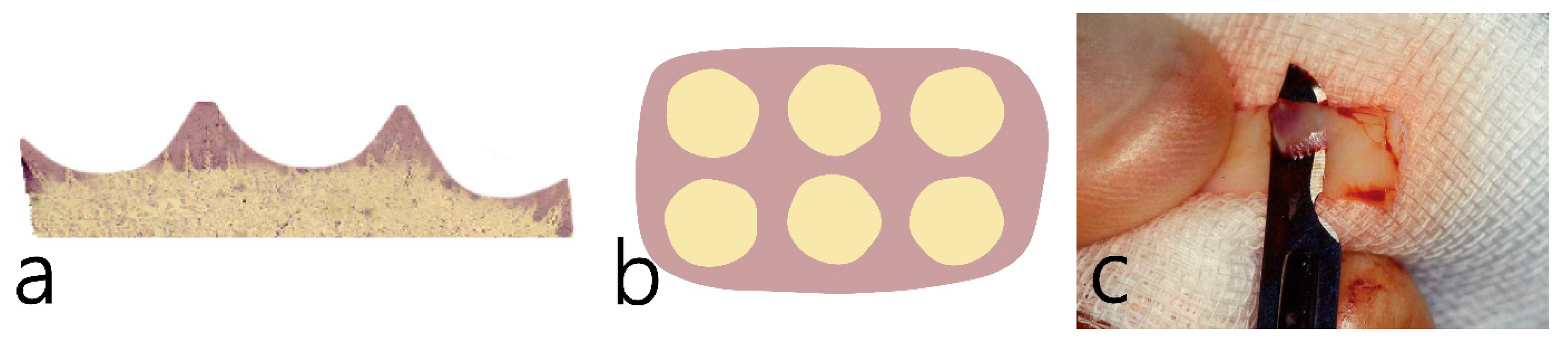 Medicina 59 01832 g001