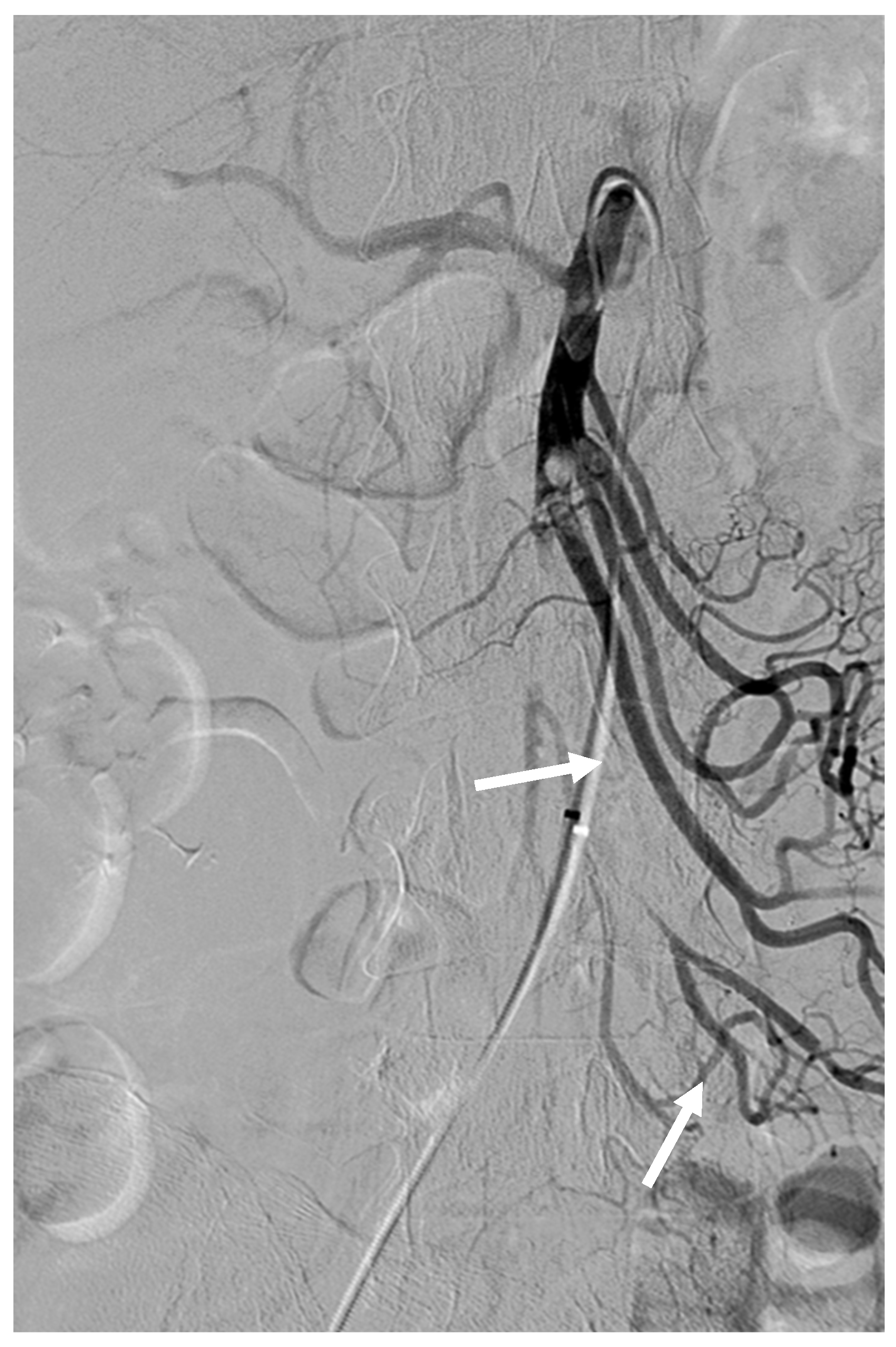 Medicina 59 01889 g002