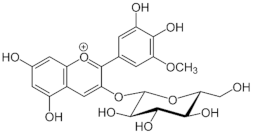 Medicina 59 01907 i014