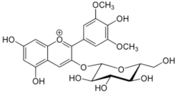 Medicina 59 01907 i015
