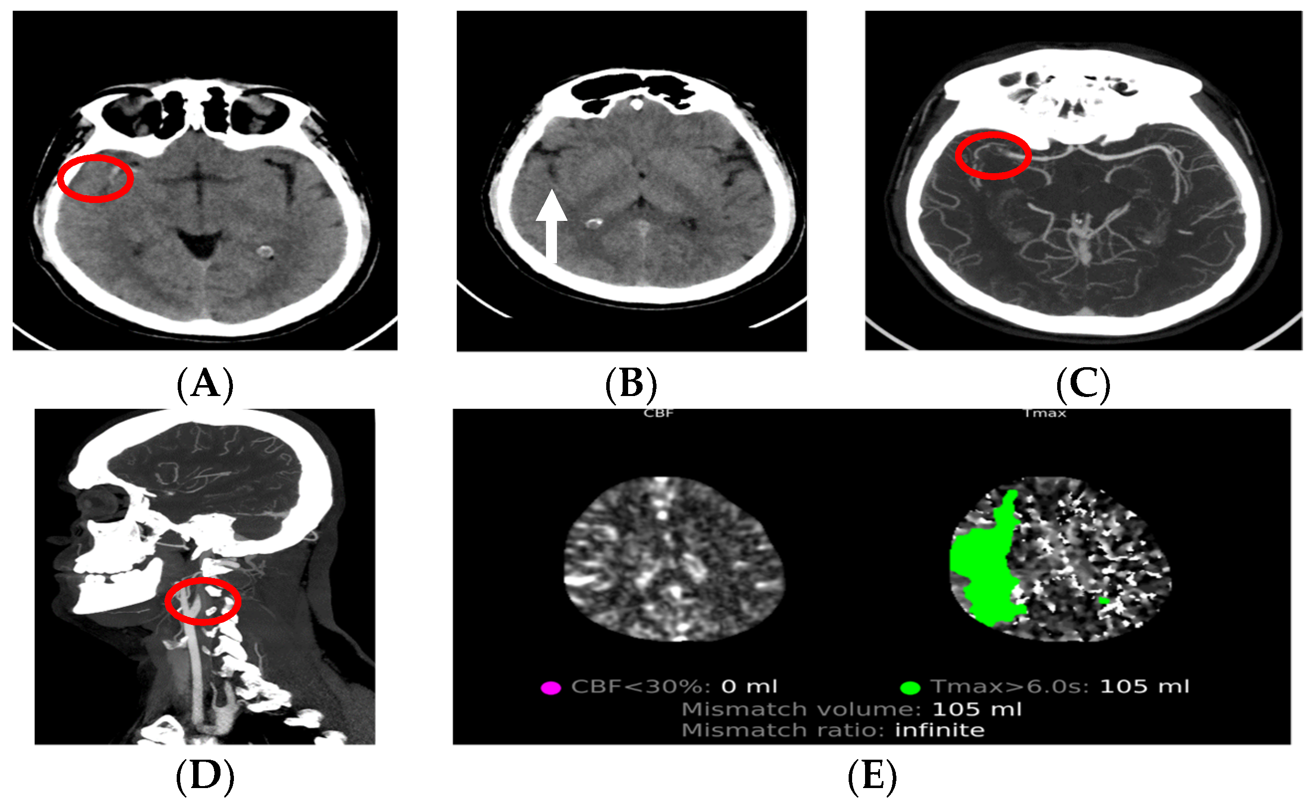 Medicina 59 01908 g002