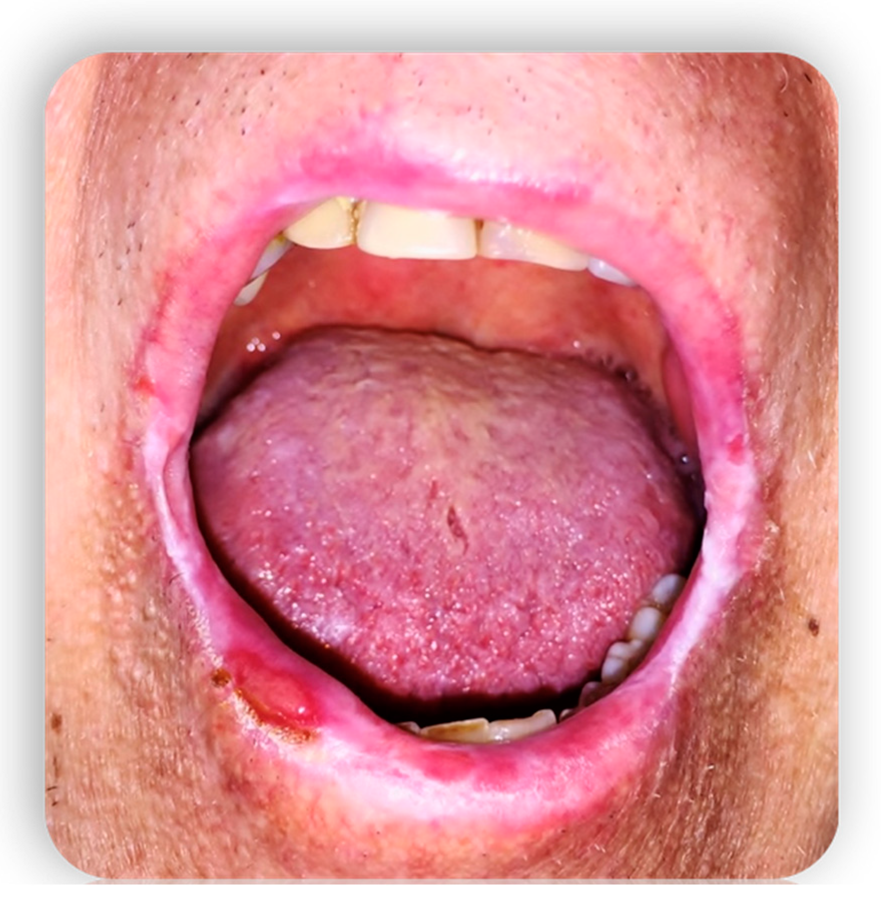 Medicina 59 01937 g001