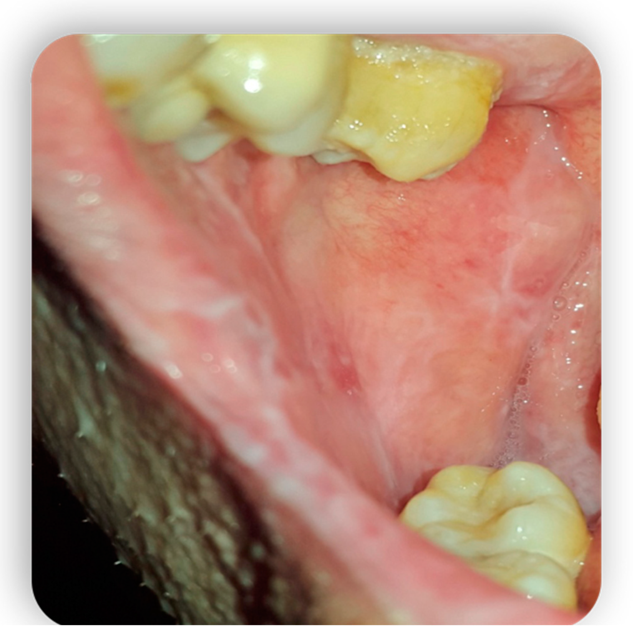 Medicina 59 01937 g006