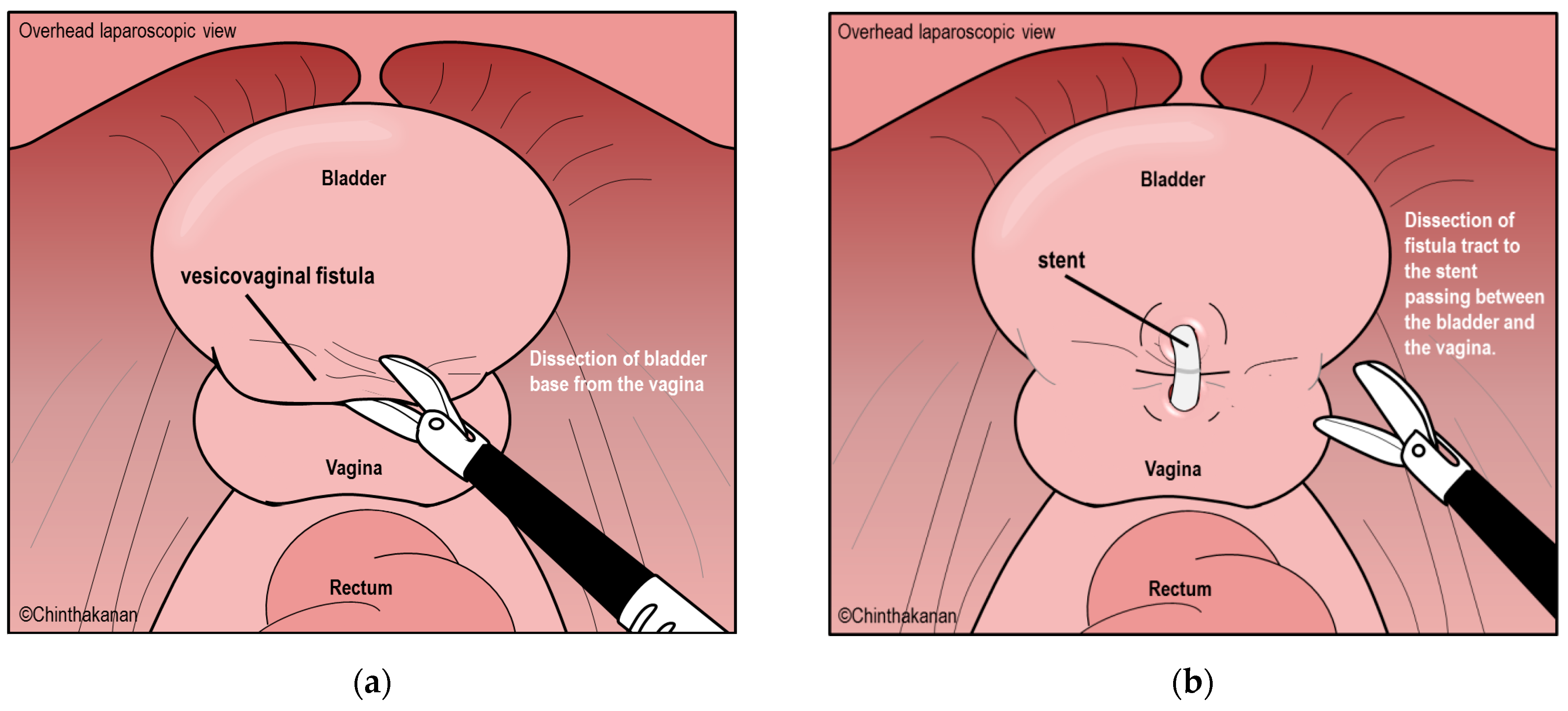 Medicina 59 01947 g004a