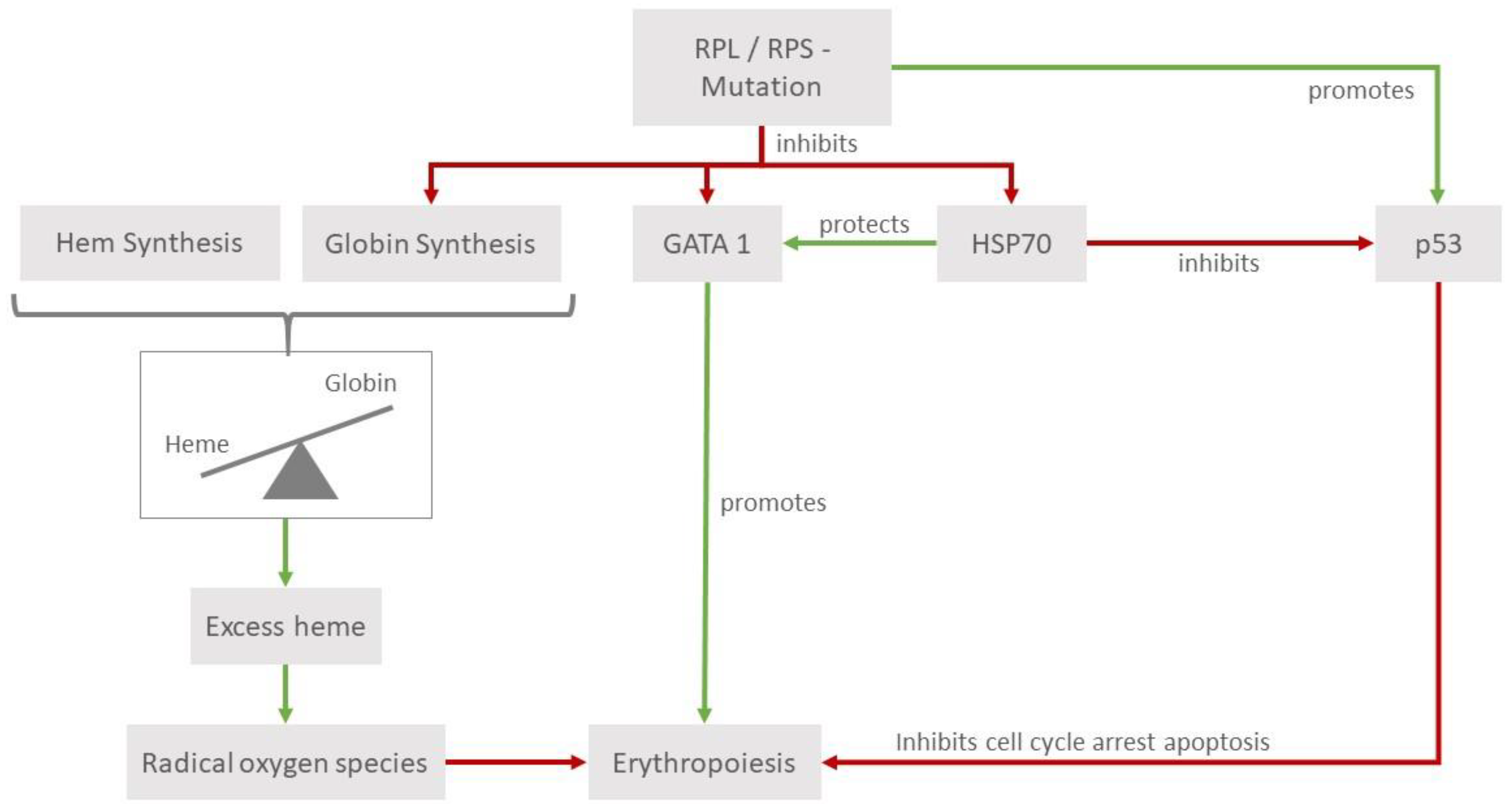 Medicina 59 01953 g001